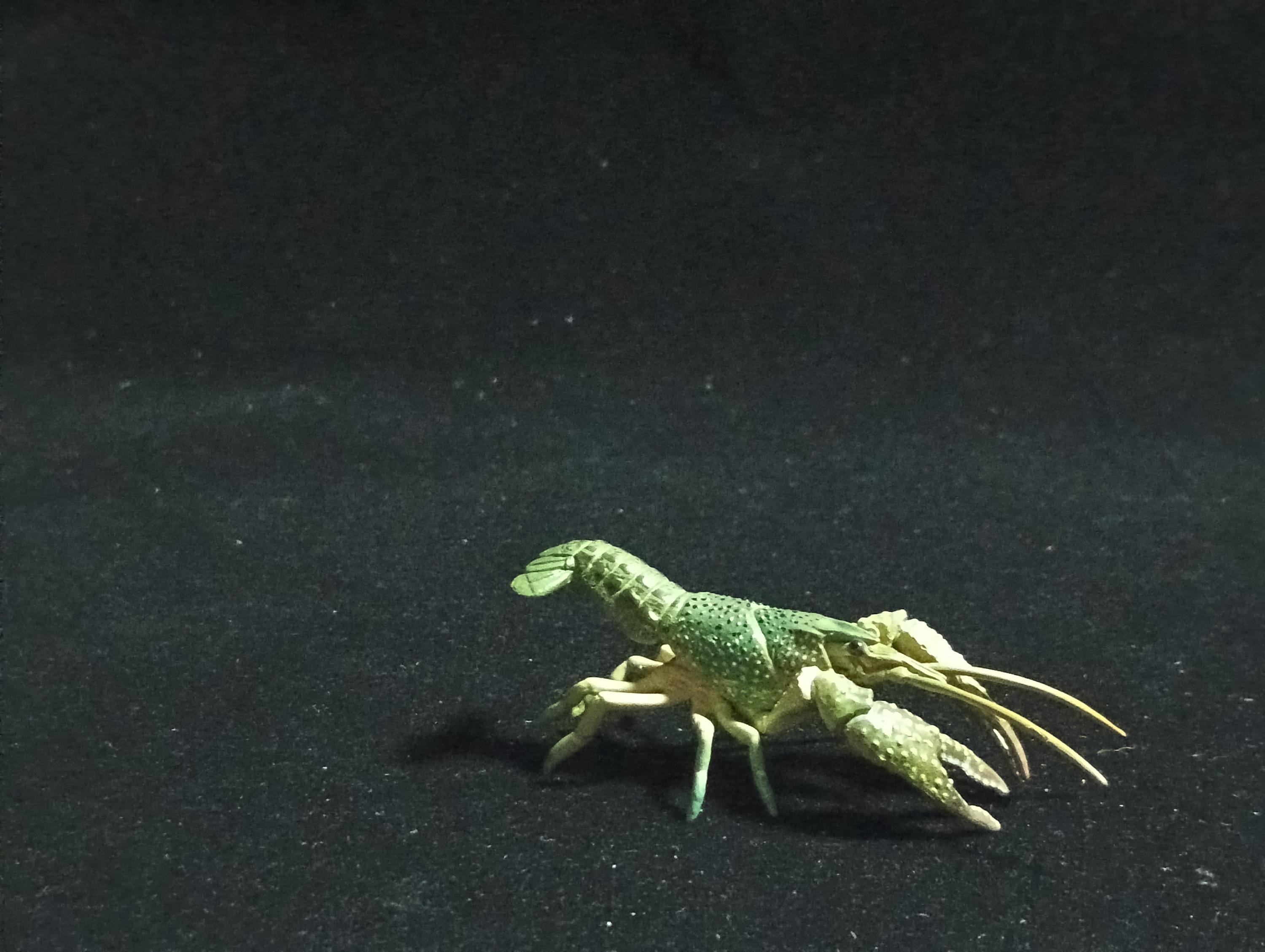 Yujin Takara Kaiyodo Retired Japan Exclusive Blue Swamp Crayfish, Procambarus clarkii Figure