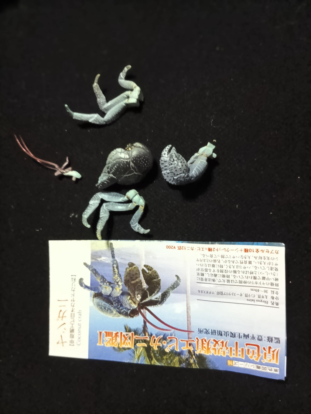 Yujin Takara Kaiyodo Retired Japan Exclusive Coconut crab Figure