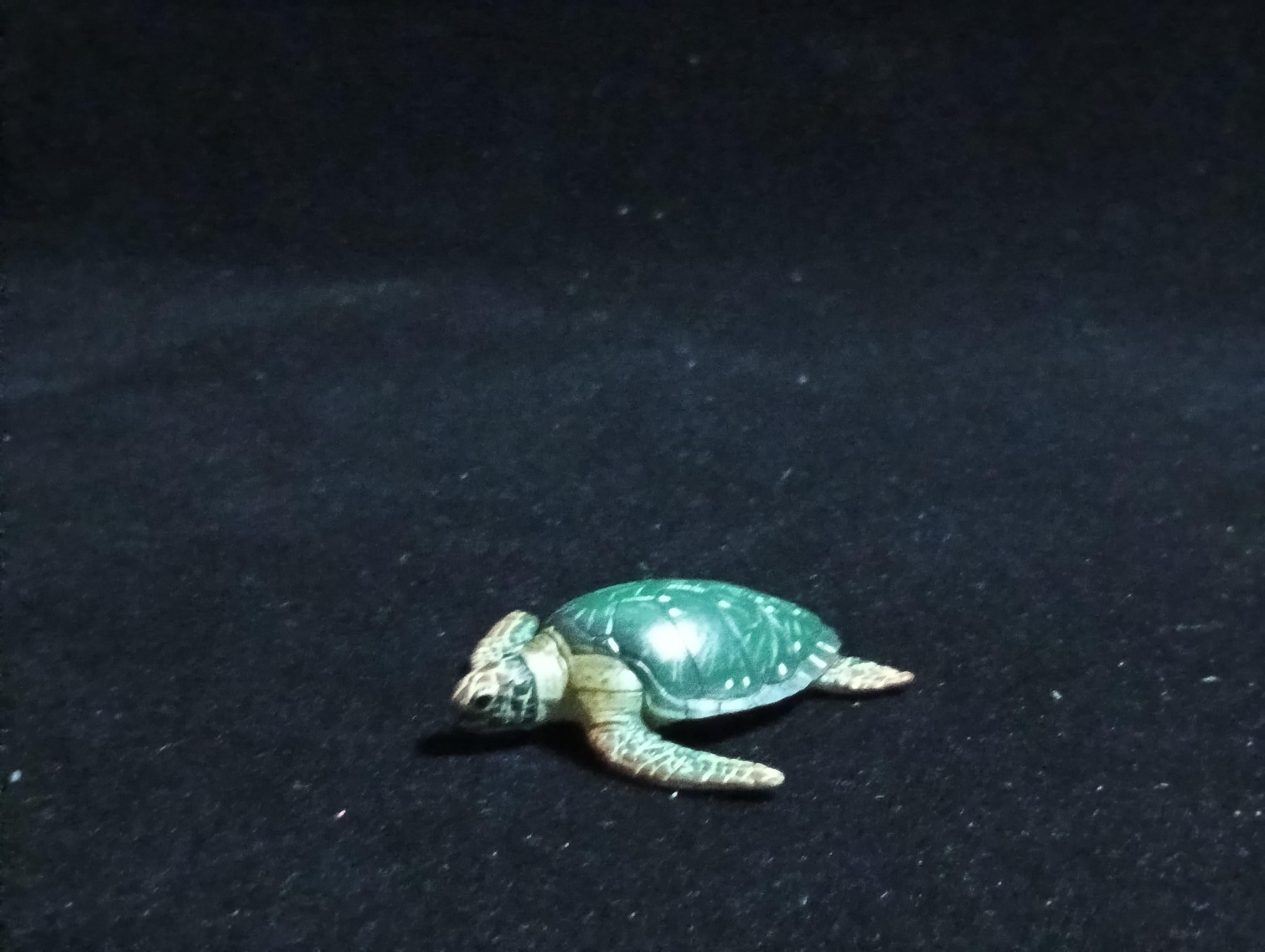 Kaiyodo ChocoQ Animatales Series 6 Green Sea Turtle