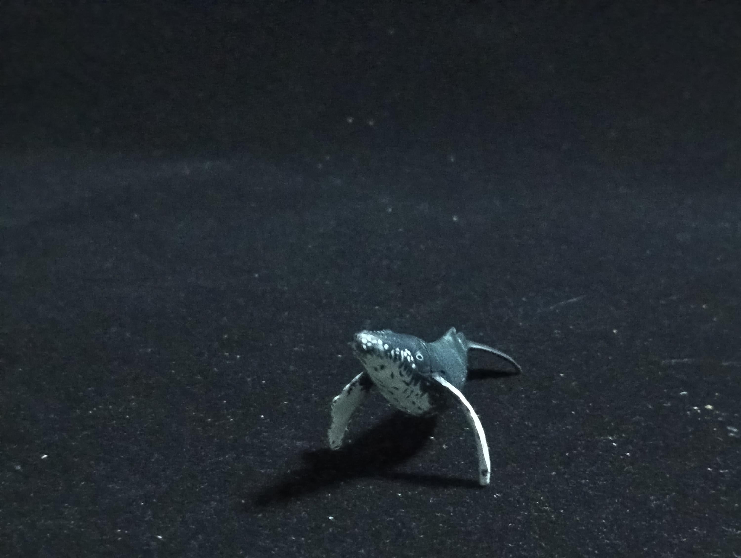 Kaiyodo ChocoQ Animatales Series 6 HUMPBACK WHALE