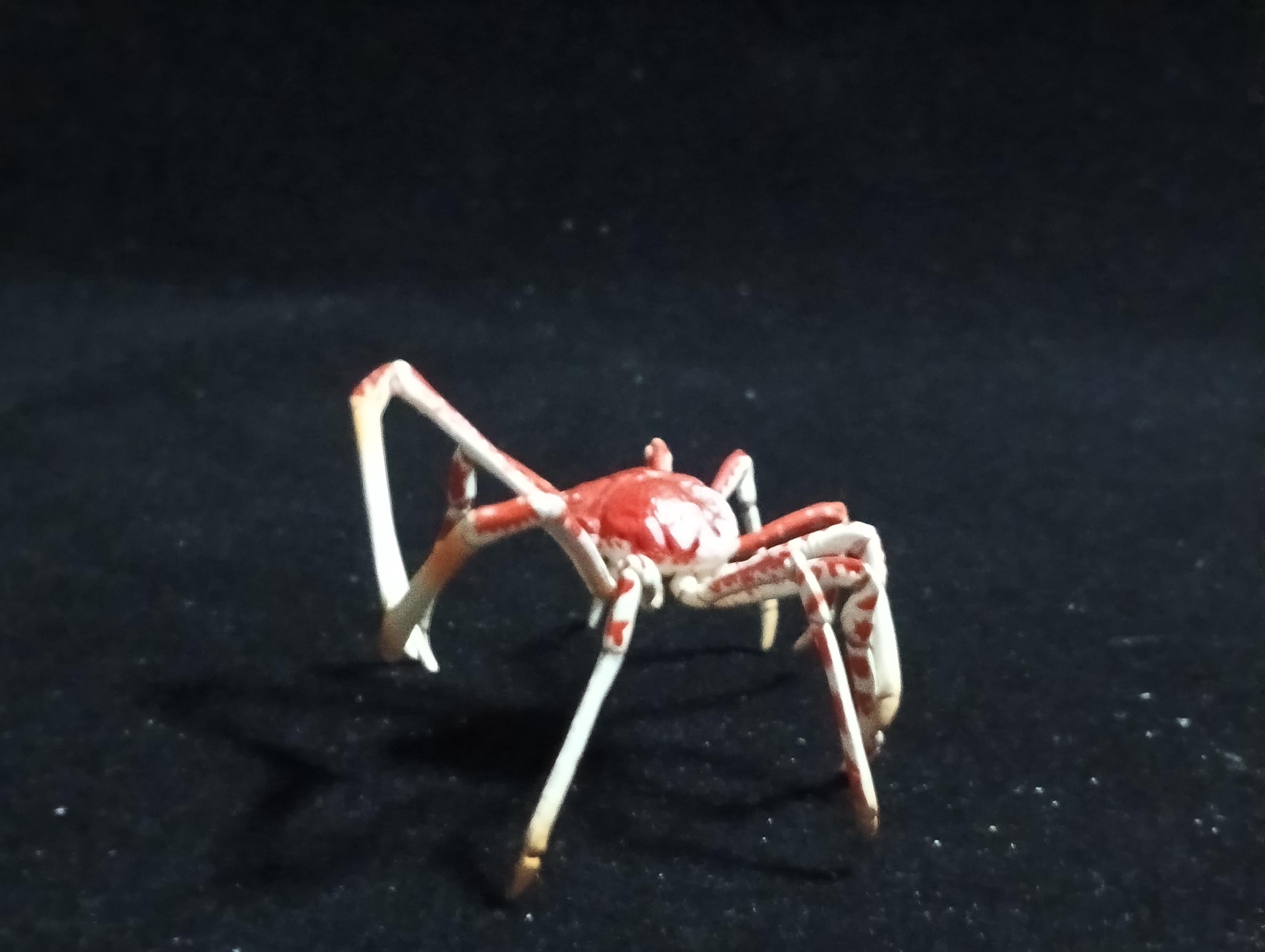 Kaiyodo ChocoQ Animatales Series 6 Japanese Spider Crab