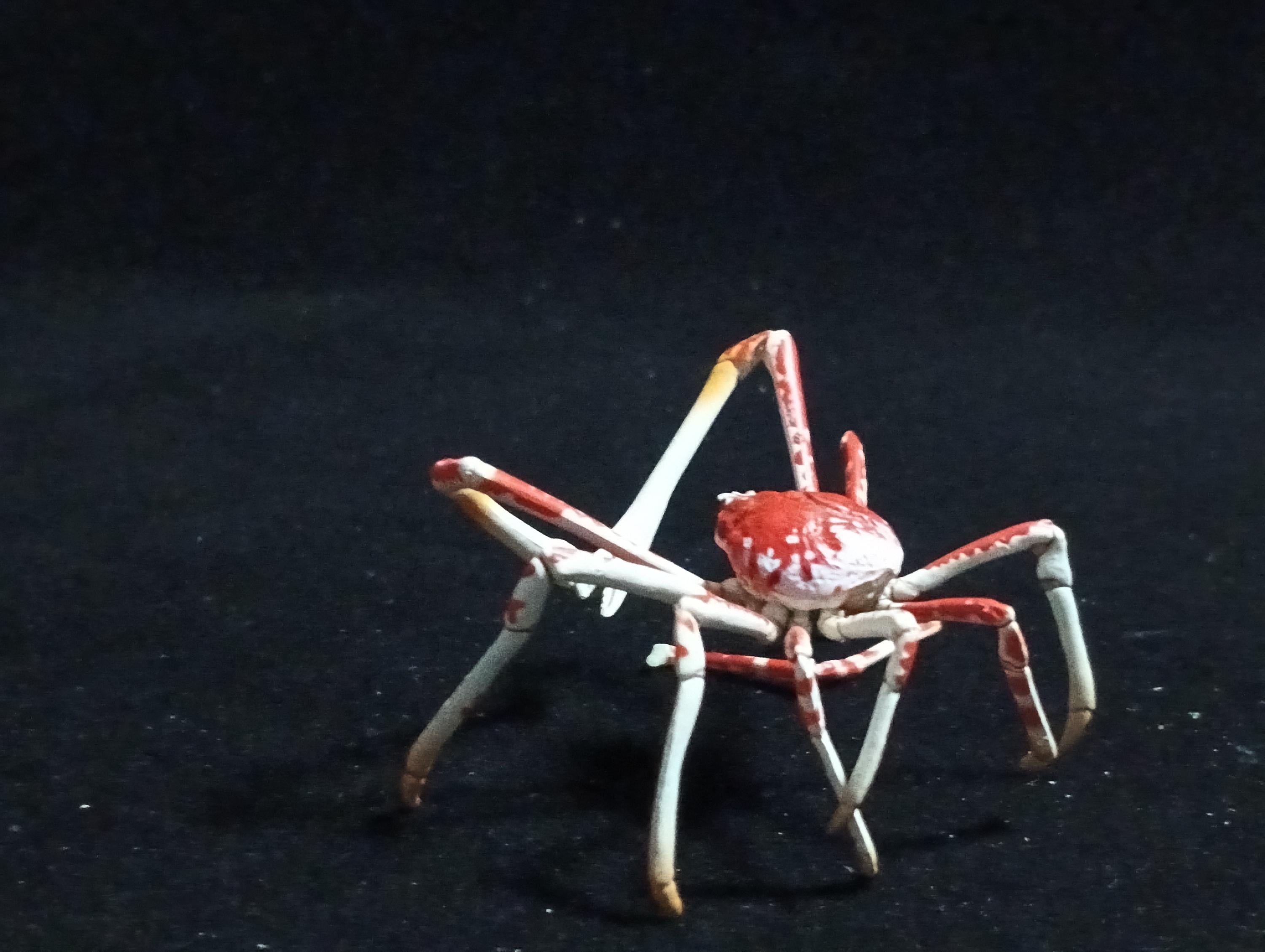 Kaiyodo ChocoQ Animatales Series 6 Japanese Spider Crab