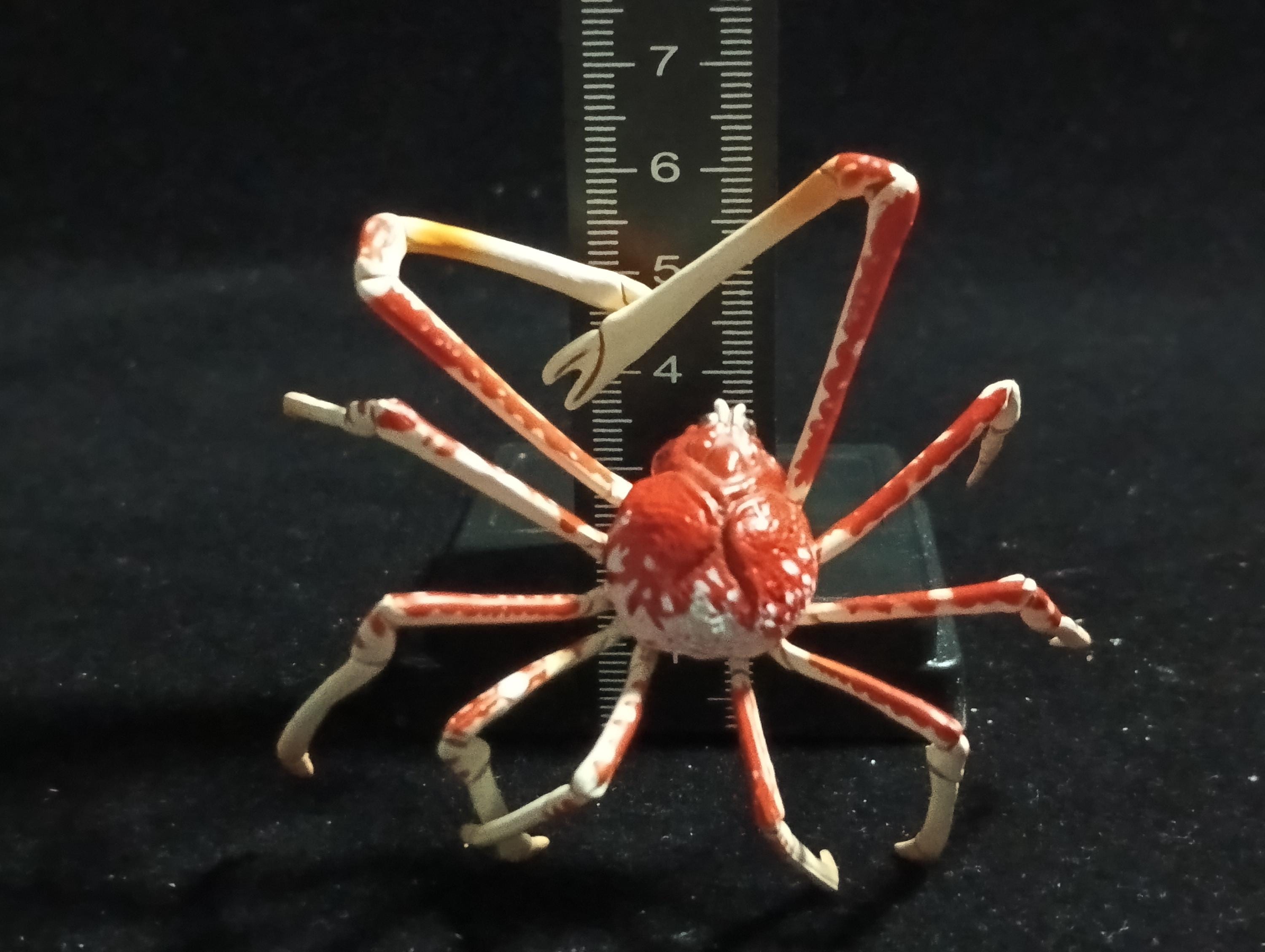 Kaiyodo ChocoQ Animatales Series 6 Japanese Spider Crab