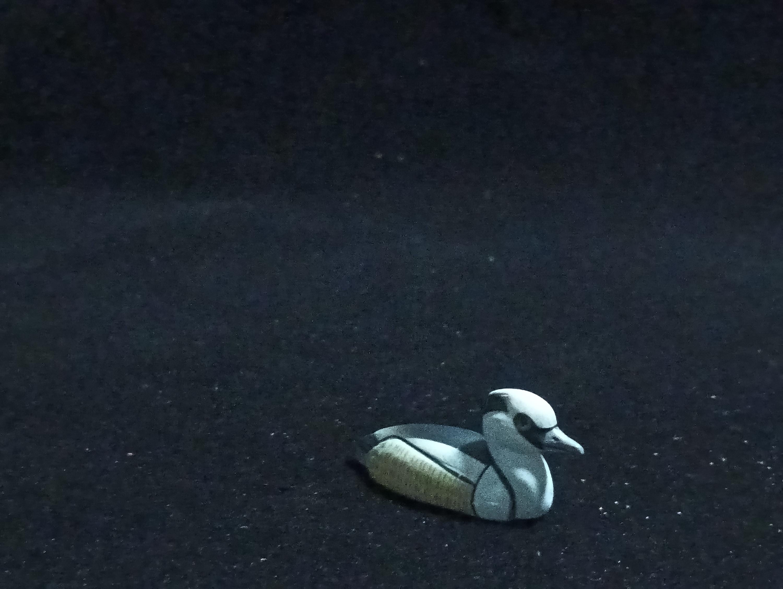 Kaiyodo ChocoQ Animatales Series 6 Smew Bird Duck