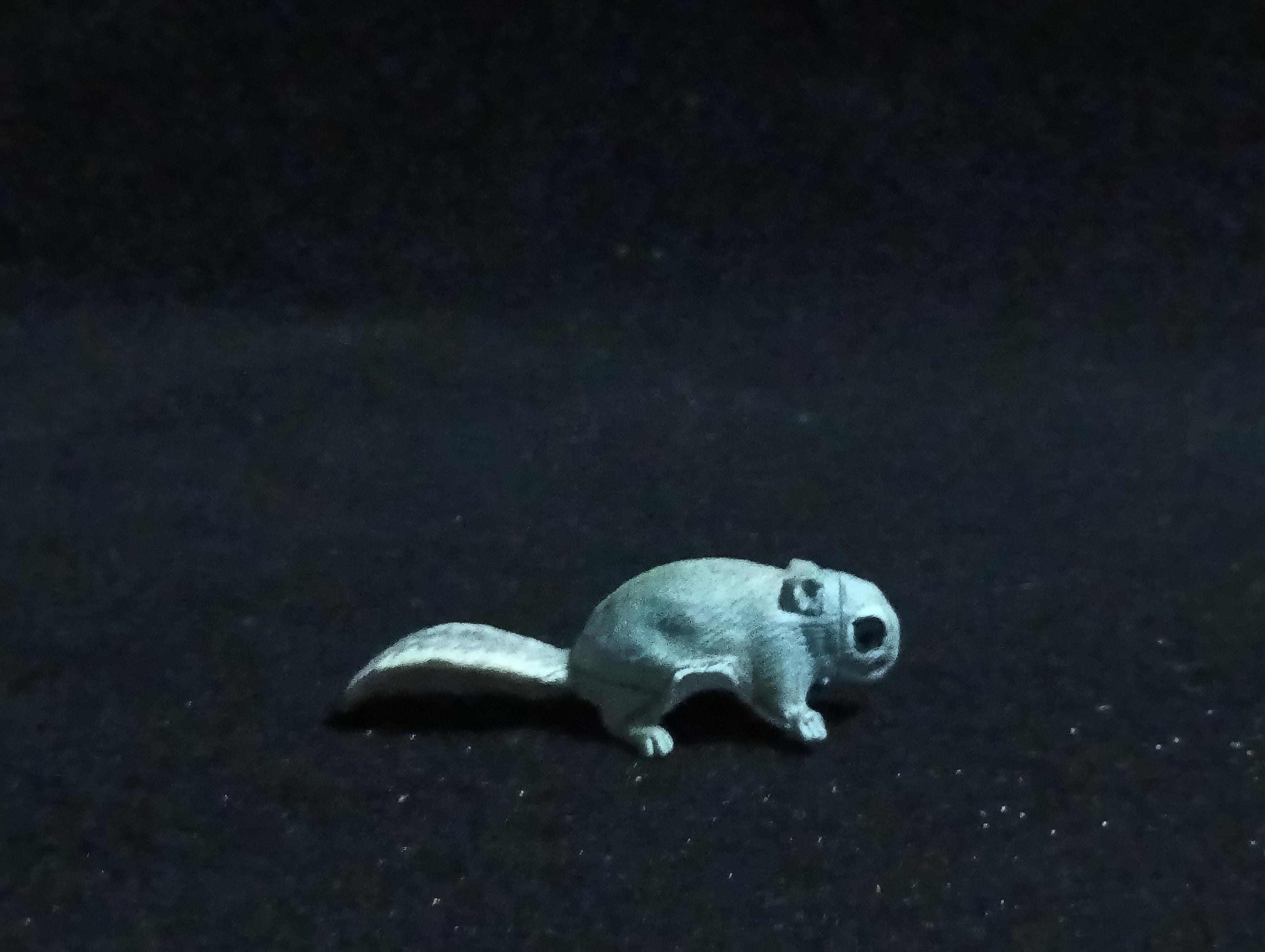 Kaiyodo ChocoQ Animatales Series 6 Flying Squirrel