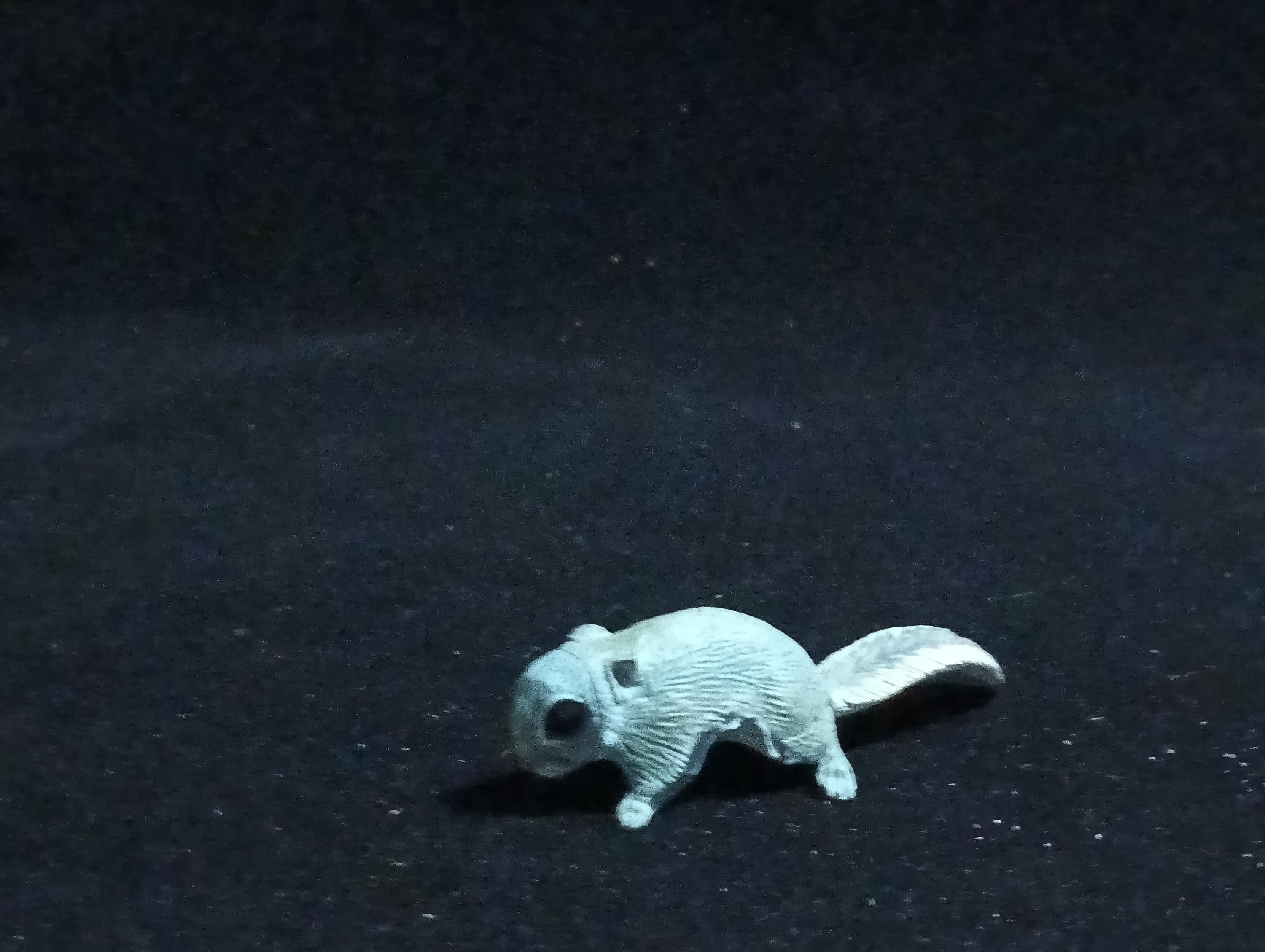 Kaiyodo ChocoQ Animatales Series 6 Flying Squirrel