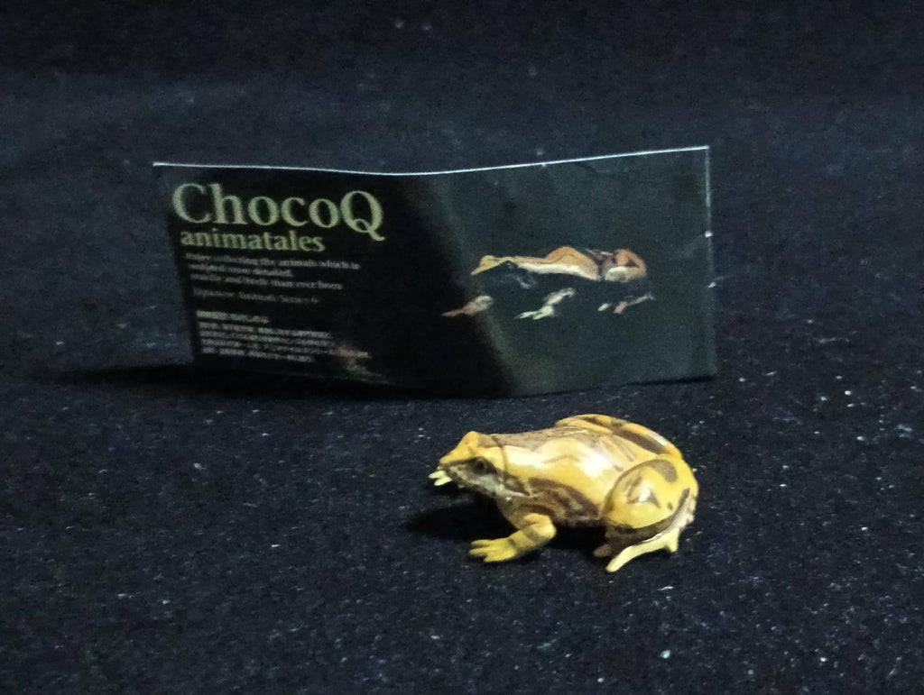 Kaiyodo ChocoQ Animatales Series 6 Tree frog