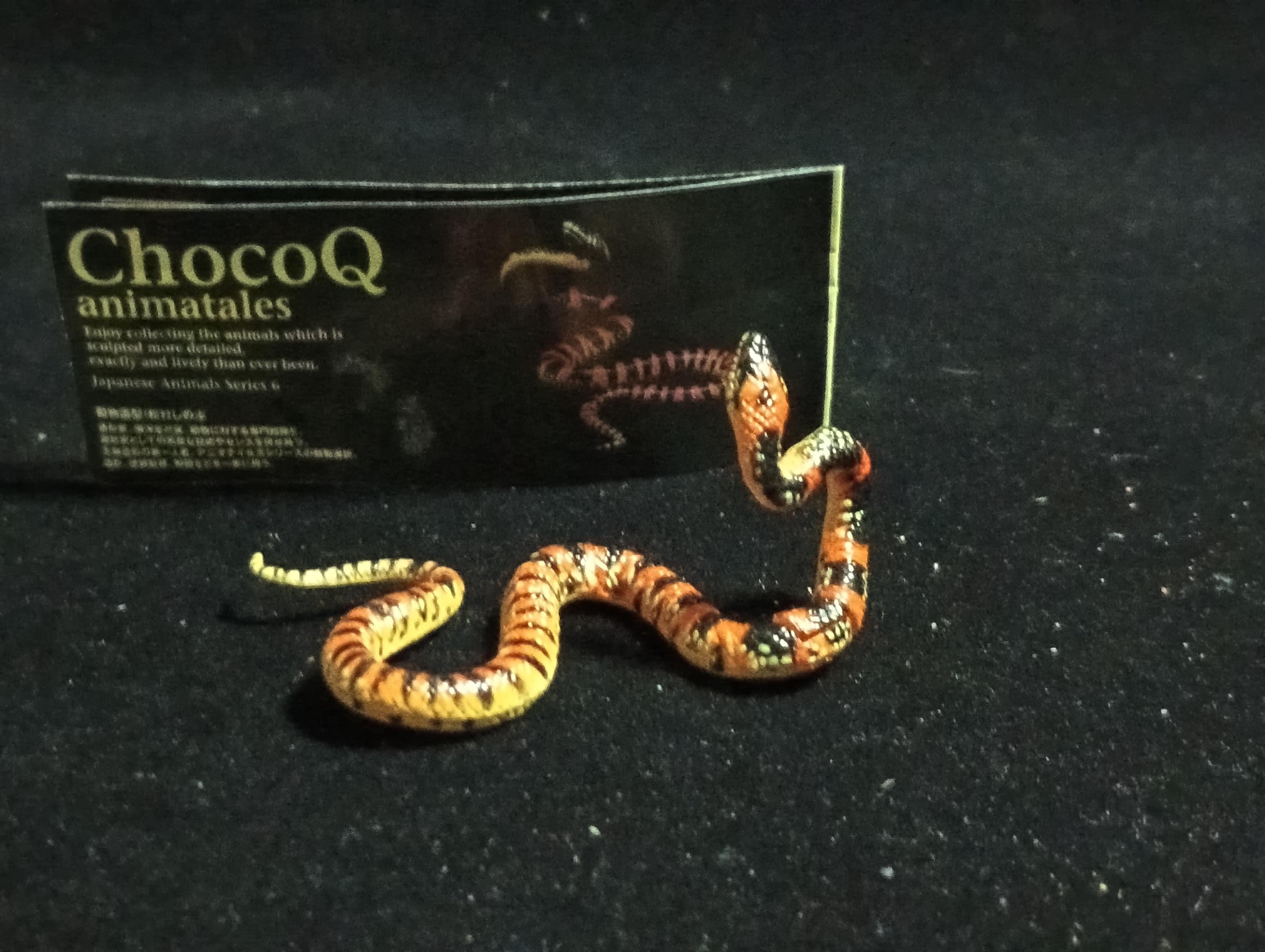 Kaiyodo ChocoQ Animatales Series 6 Loo-choo big-tooth snake (Dinodon semicarinatum)
