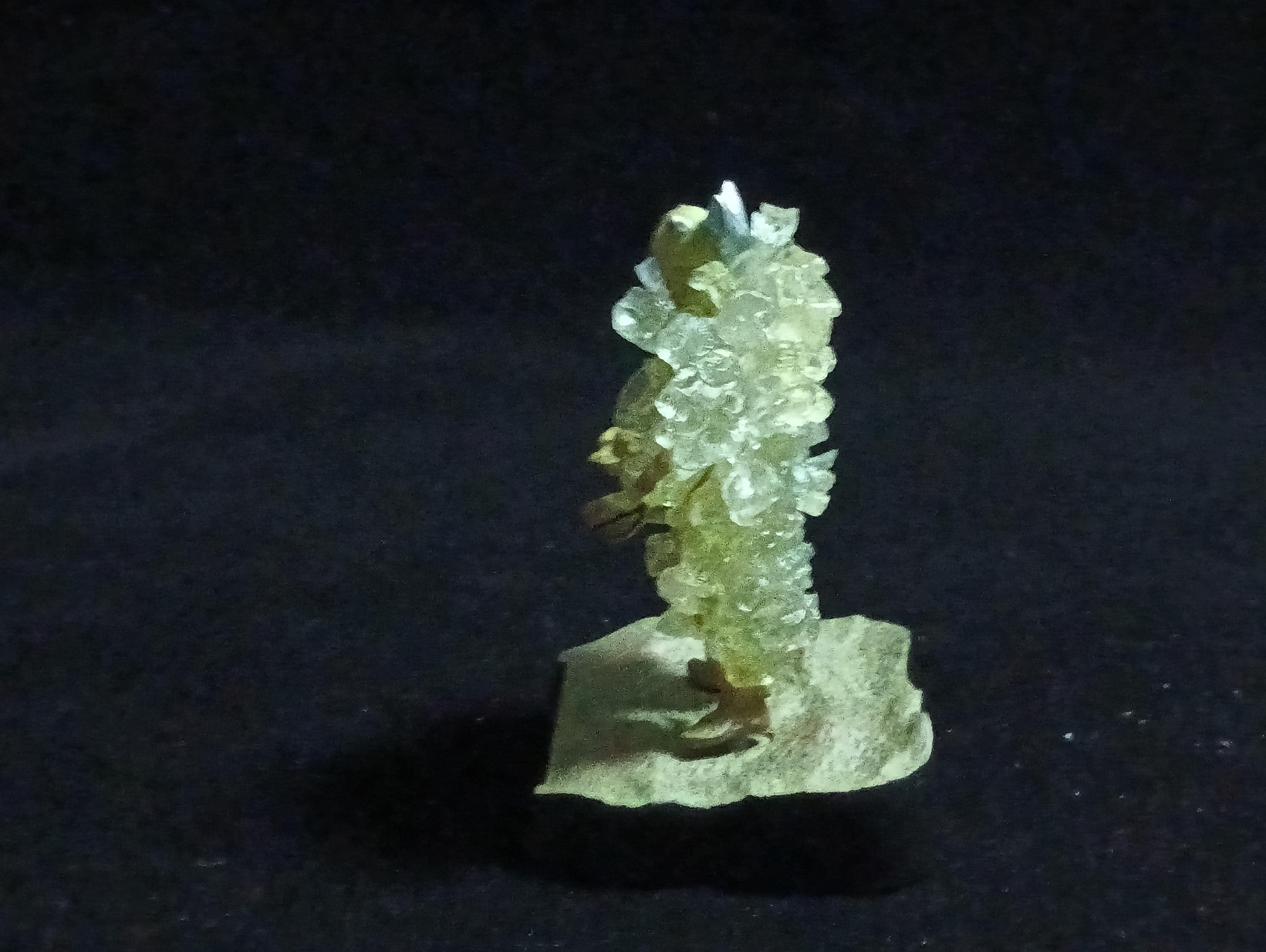 Ultra Kaiju Monster Directory - (Glory is for Whoever) Alien Platic Seven Figure Bandai