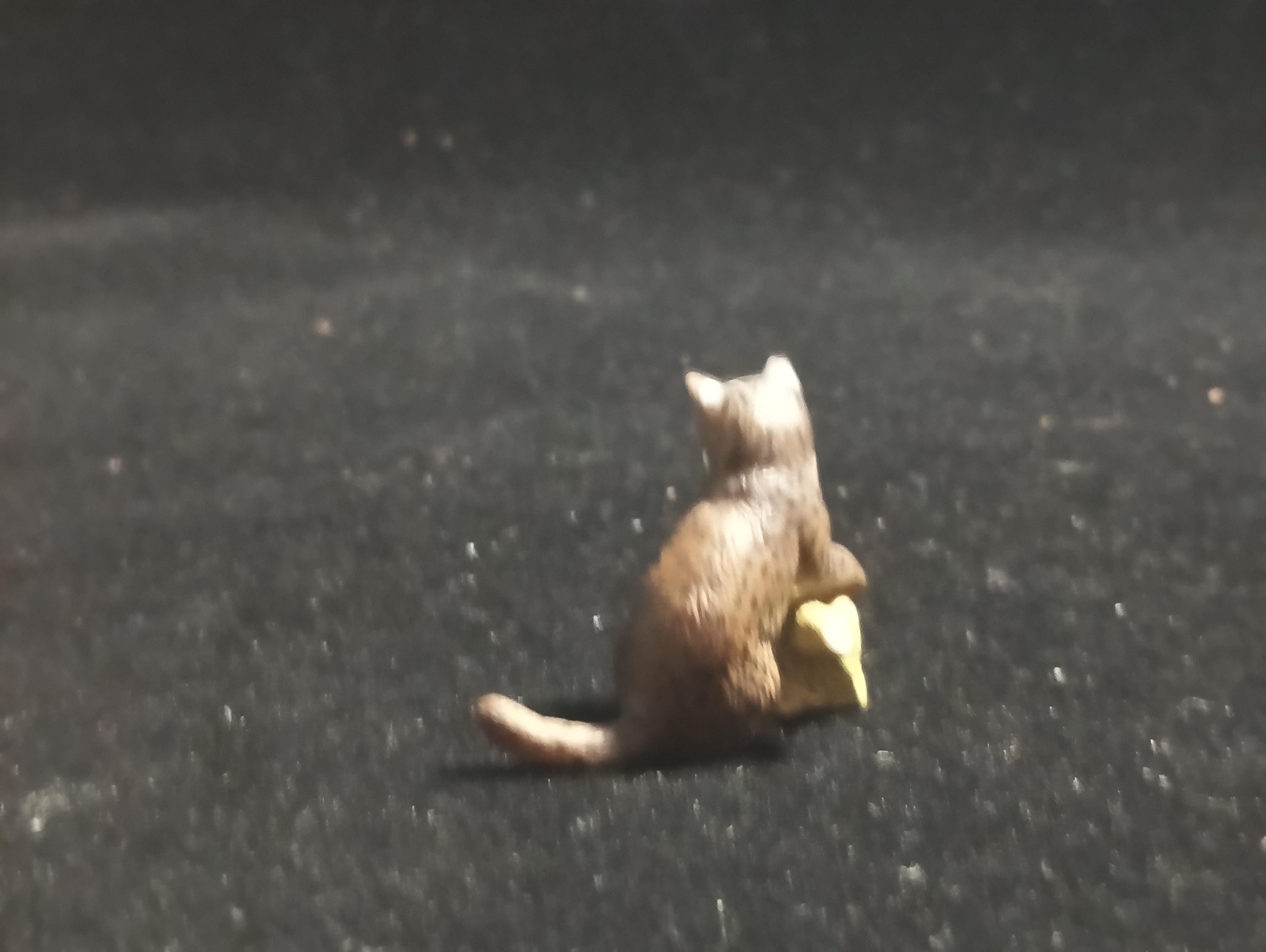 Kaiyodo ChocoQ Animatales Series 8 Baby Iriomote wildcat Cat (B)