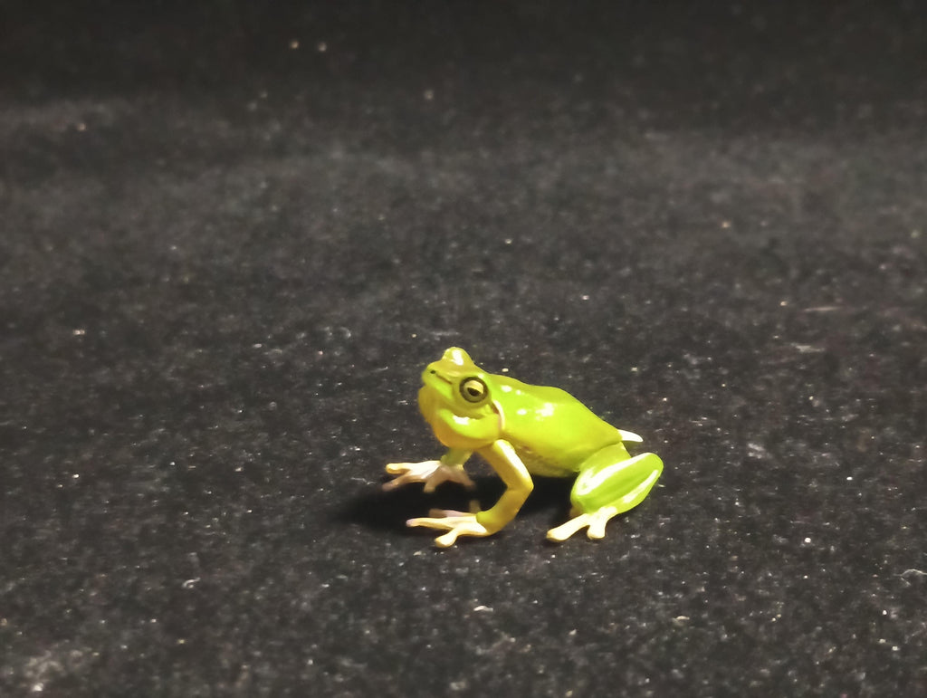 Kaiyodo Animatales Choco Q Special Edition Series Hallowell's Green Tree frog