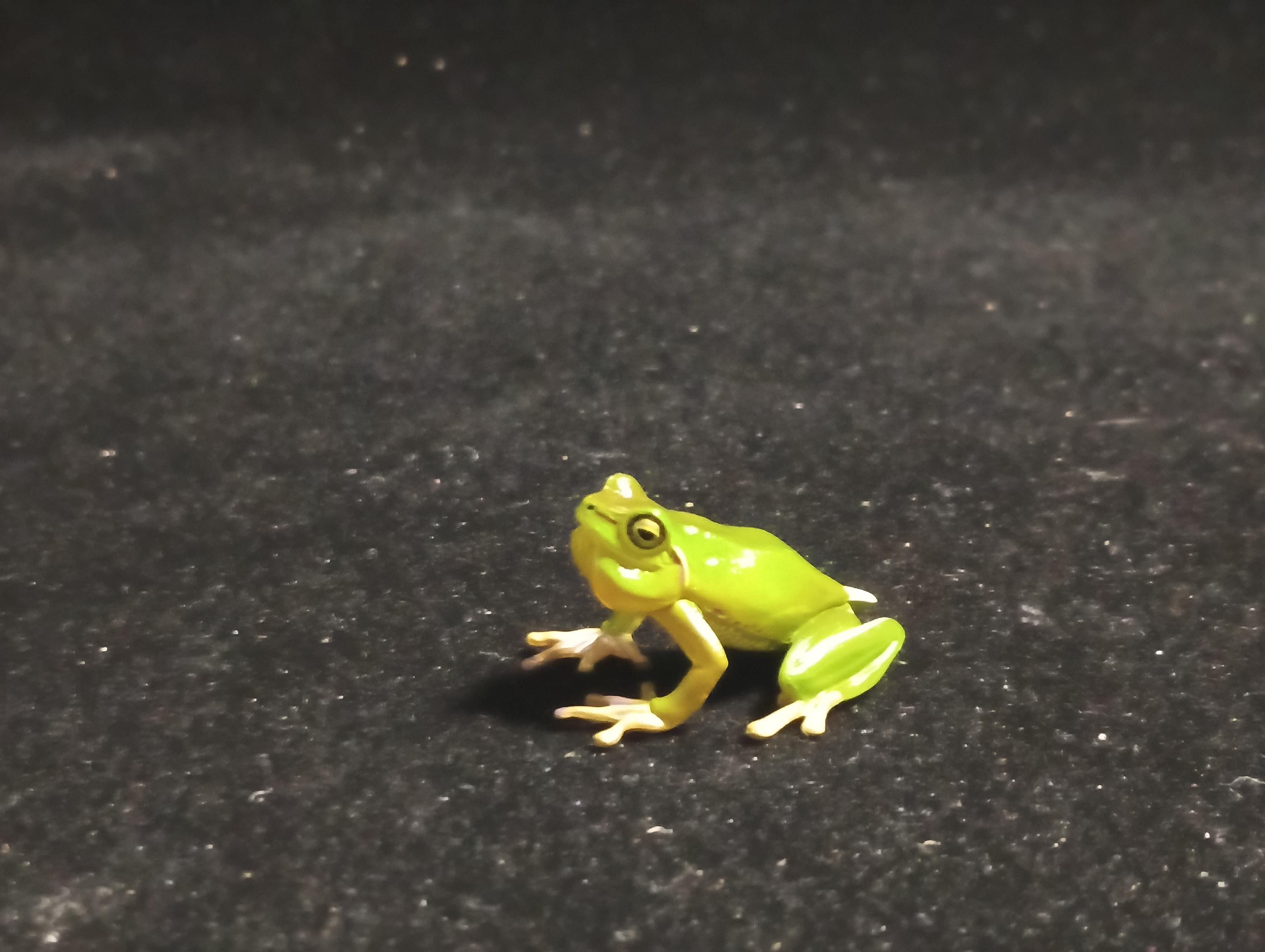 Kaiyodo Animatales Choco Q Special Edition Series Hallowell's Green Tree frog