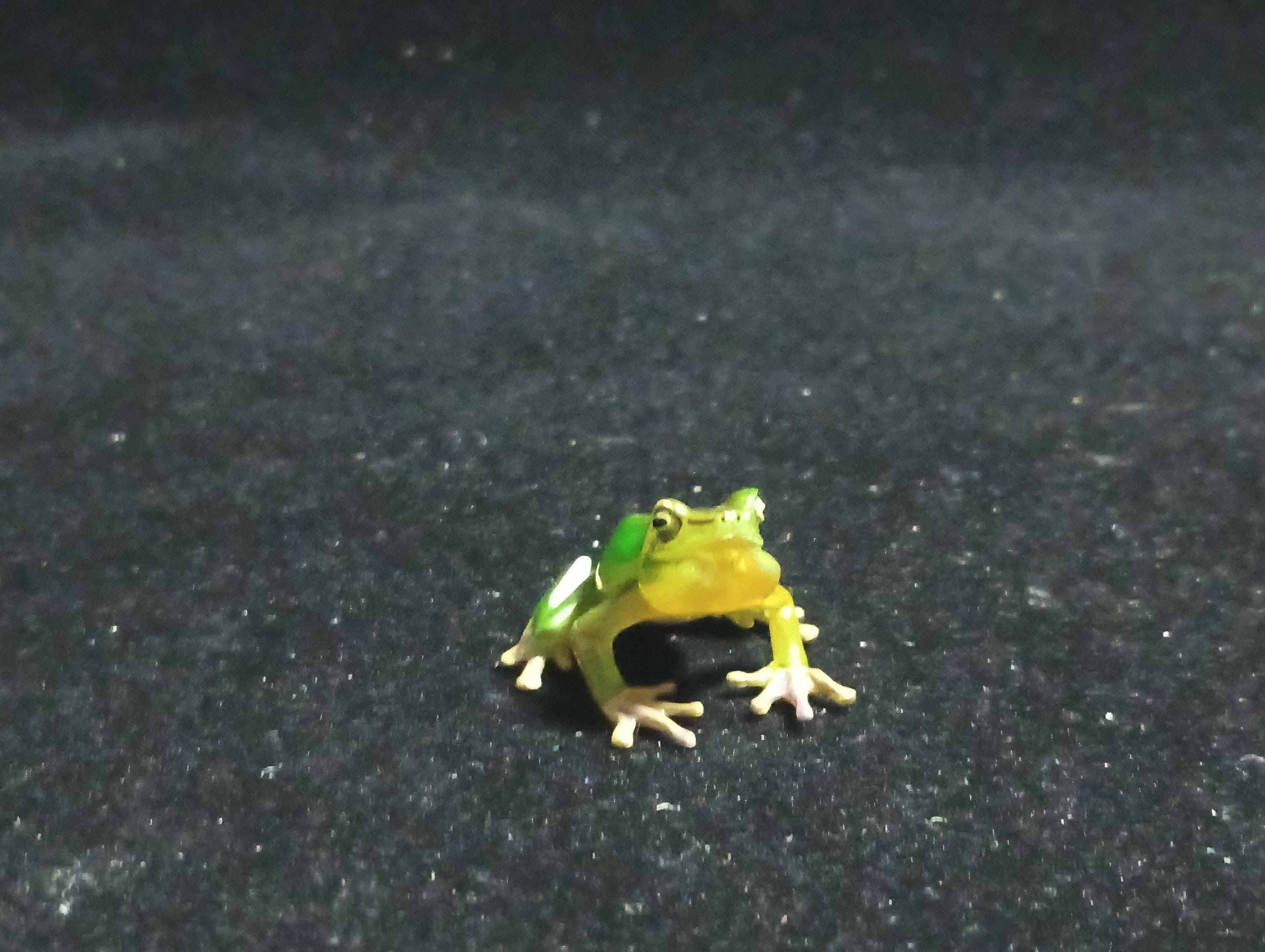 Kaiyodo Animatales Choco Q Special Edition Series Hallowell's Green Tree frog