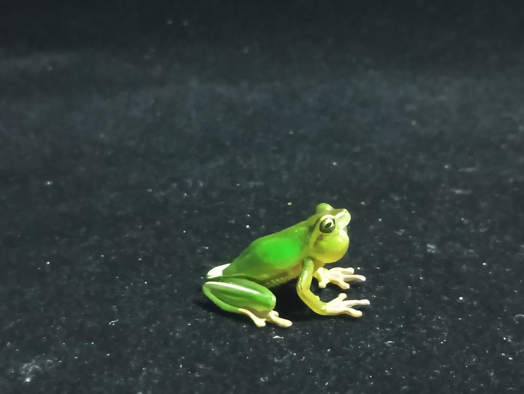 Kaiyodo Animatales Choco Q Special Edition Series Hallowell's Green Tree frog