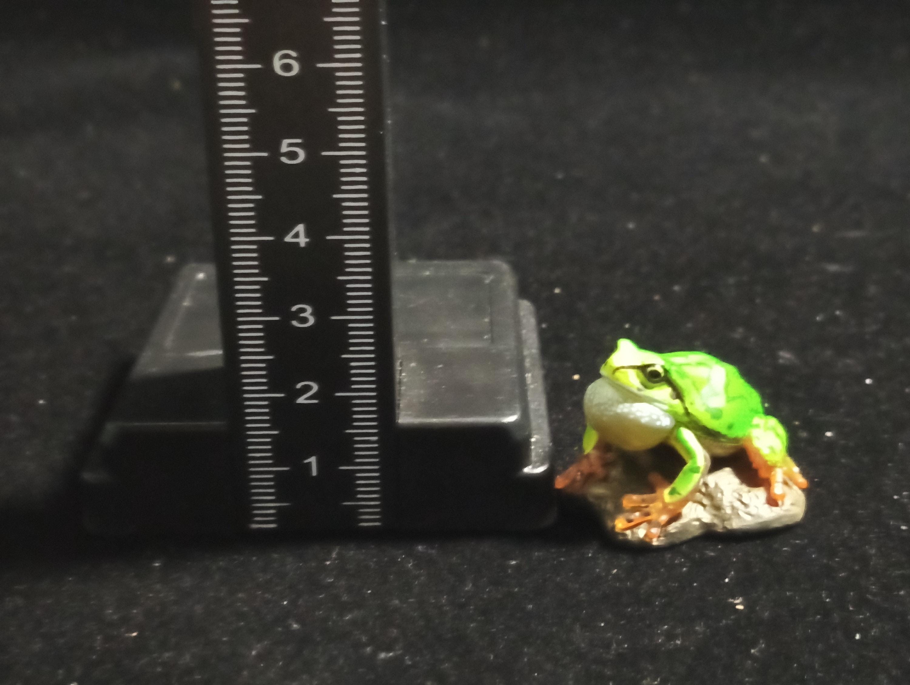 Kaiyodo Animatales Choco Q Series 11 Japanese tree frog (B)