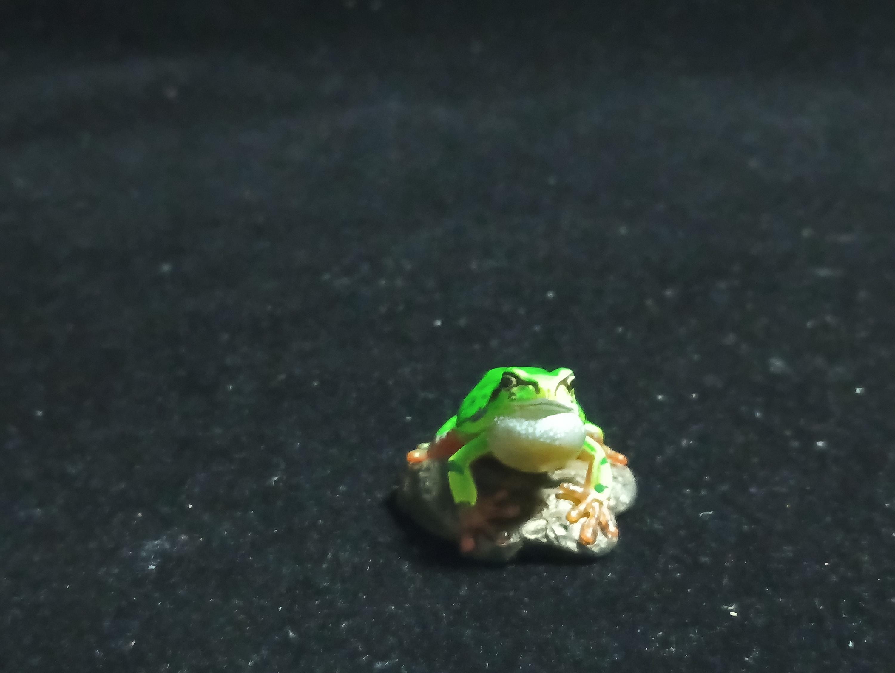 Kaiyodo Animatales Choco Q Series 11 Japanese tree frog (B)