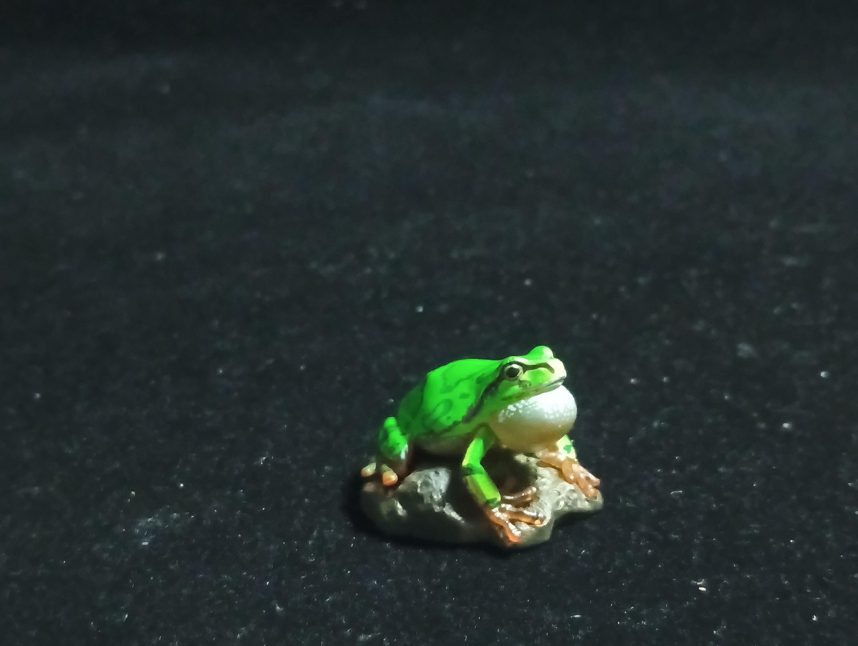 Kaiyodo Animatales Choco Q Series 11 Japanese tree frog (B)