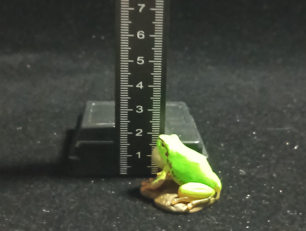 Kaiyodo Animatales Choco Q Series 11 Hallowell's Green Tree frog normal color (A)