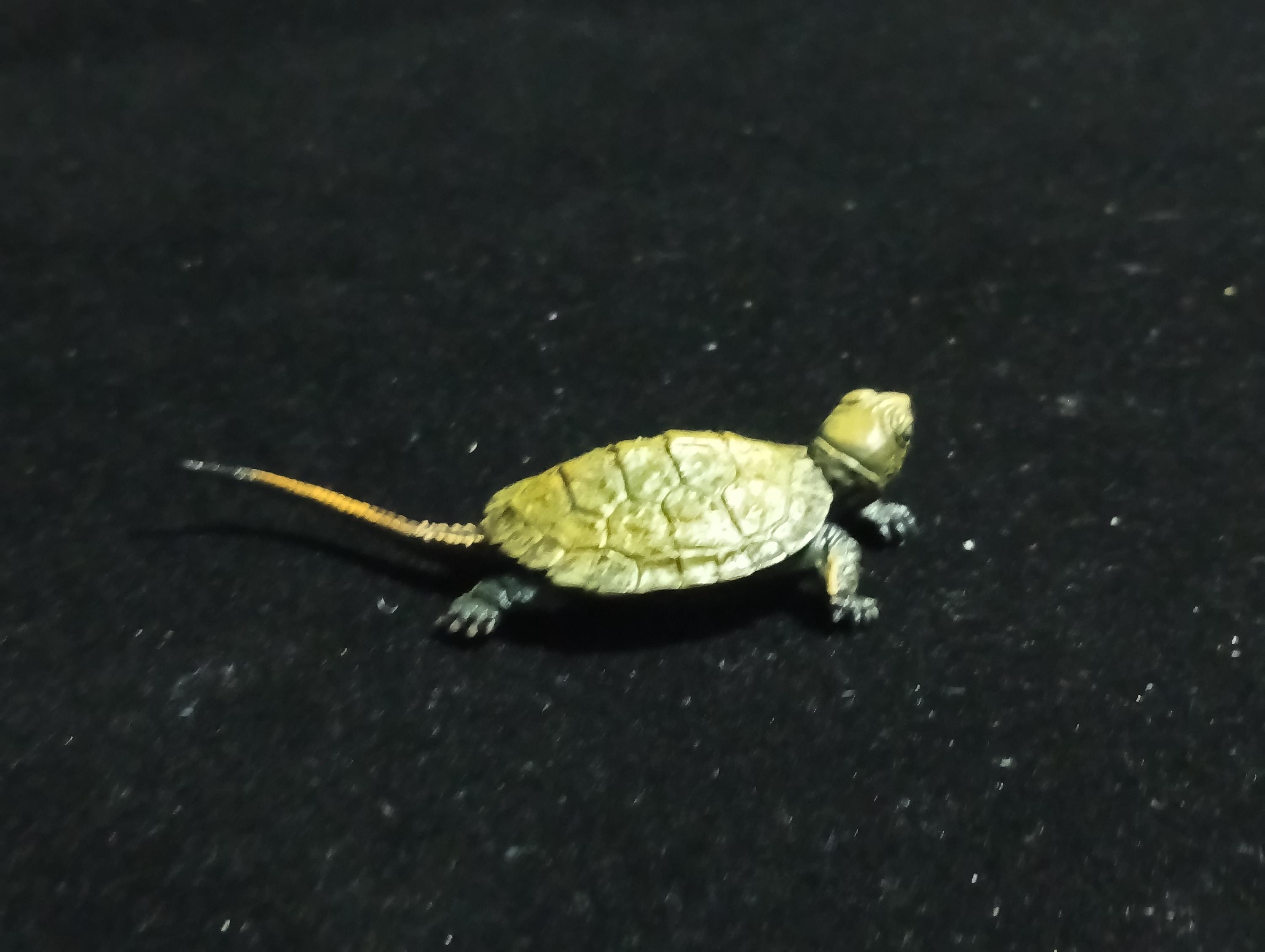 Kaiyodo Animatales Choco Q Series 11 Japanese pond turtle