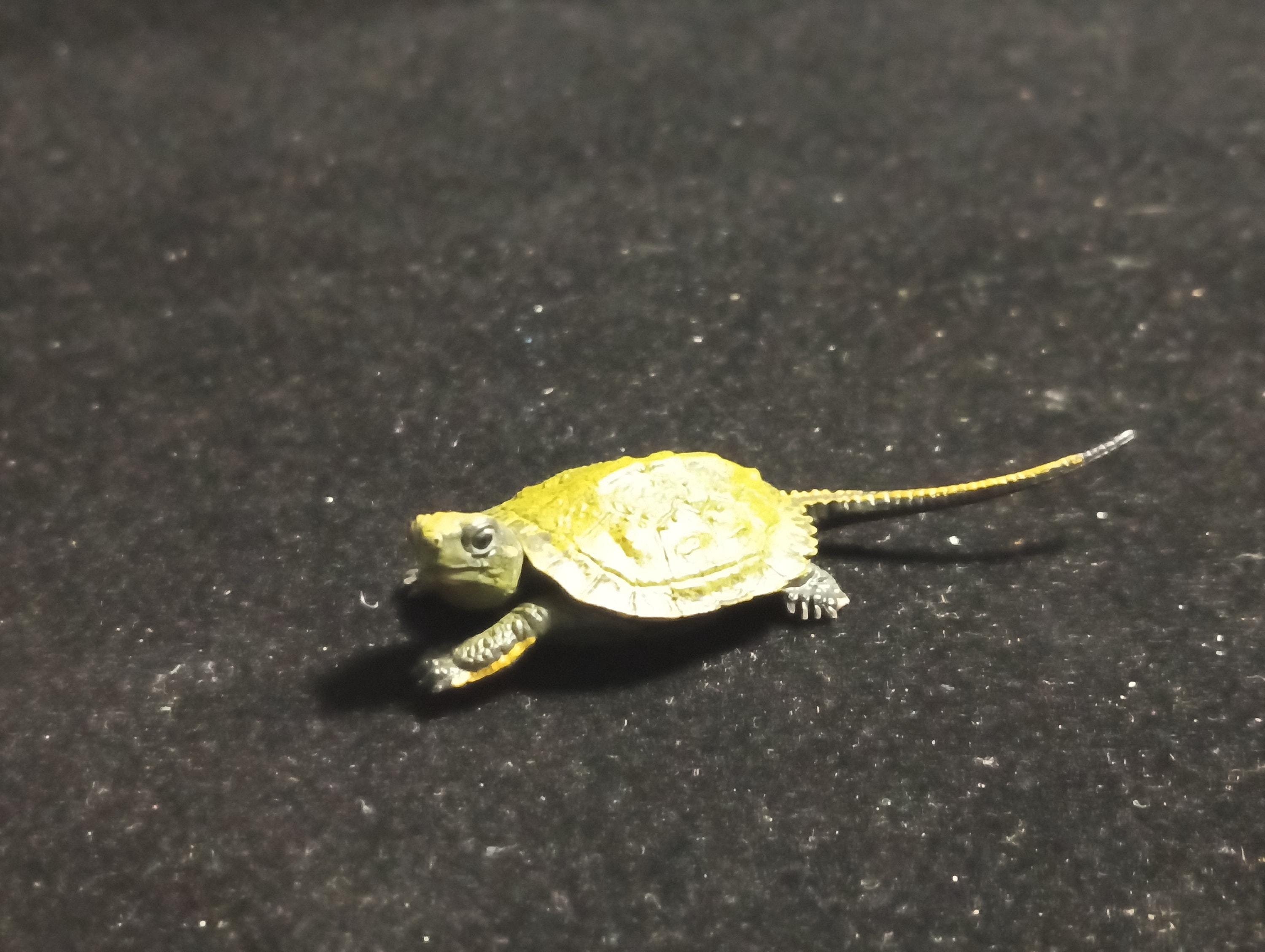 Kaiyodo Animatales Choco Q Series 11 Japanese pond turtle