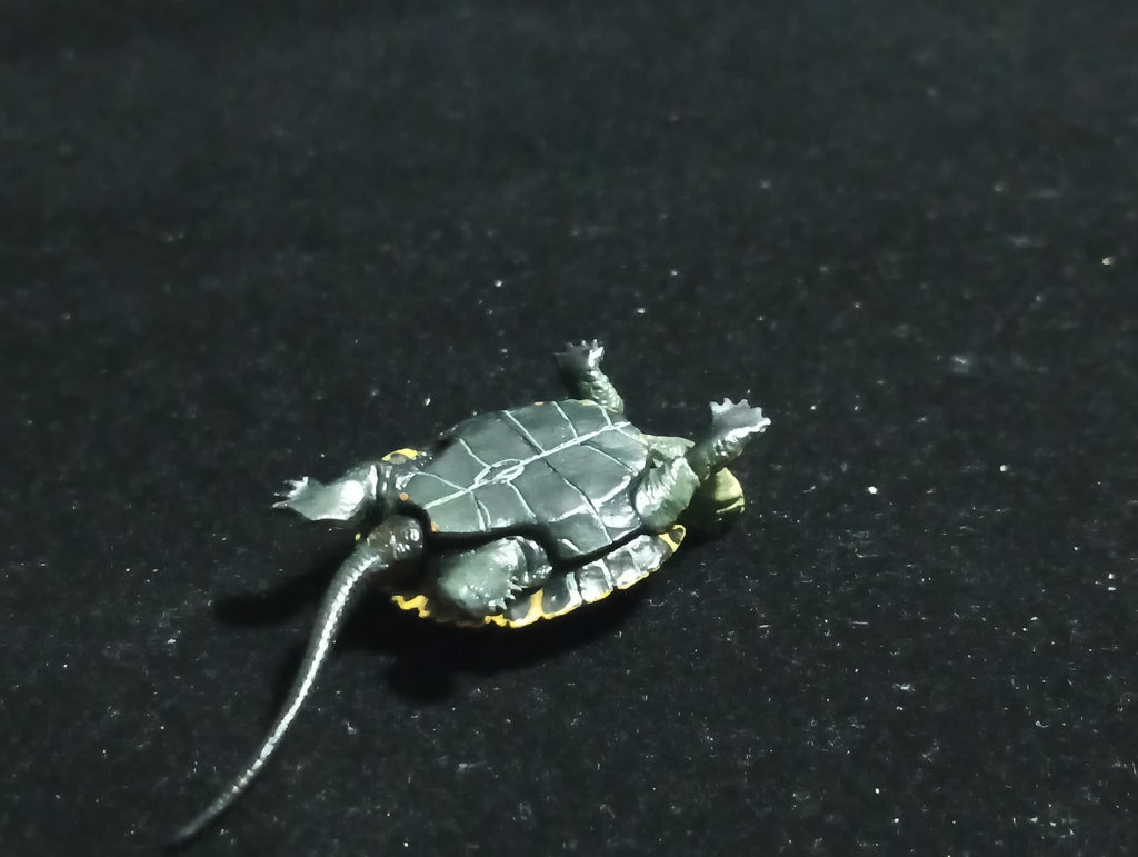 Kaiyodo Animatales Choco Q Series 11 Japanese pond turtle