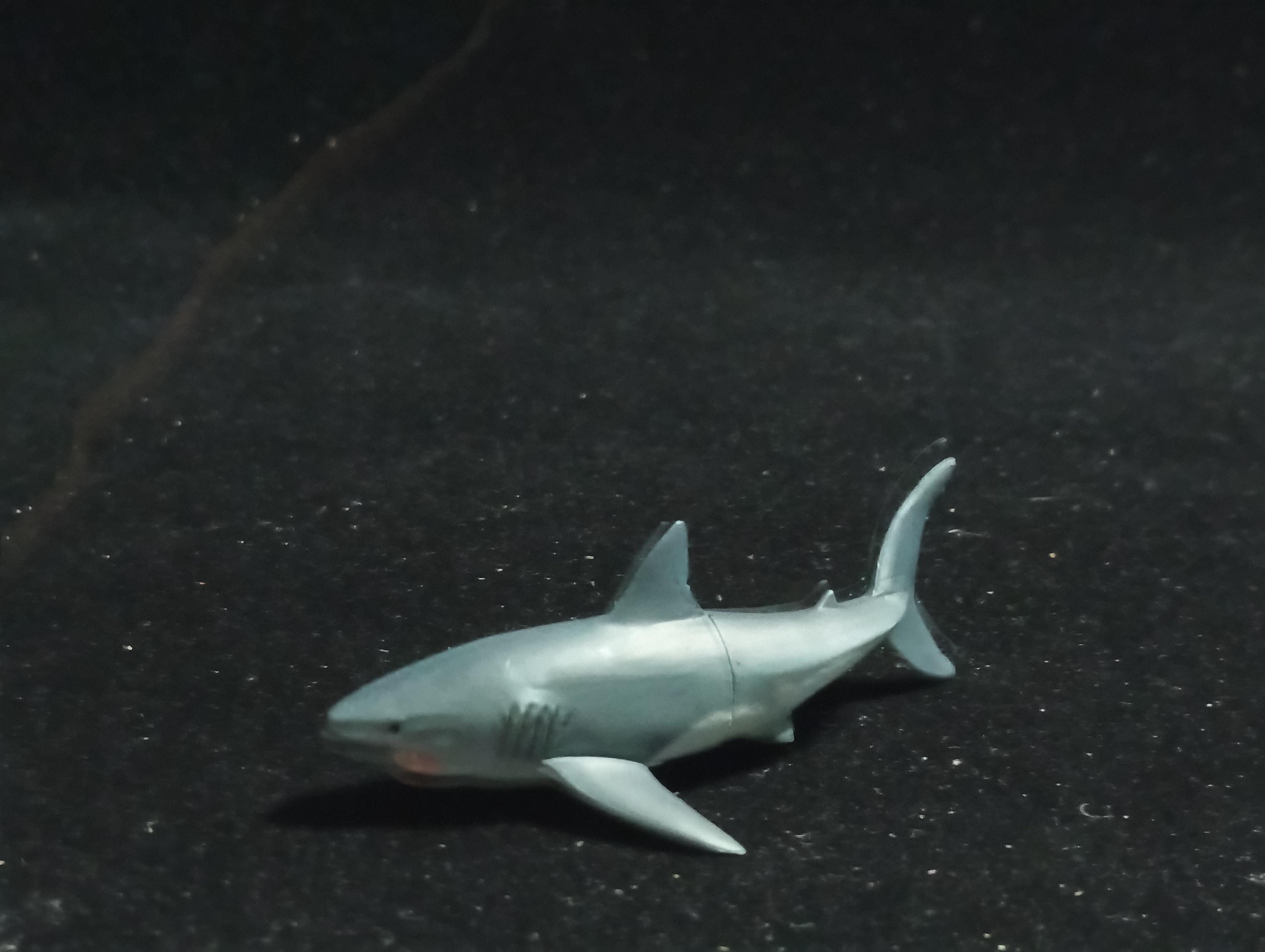 Kaiyodo Animatales Choco Q Series 11 Great white shark