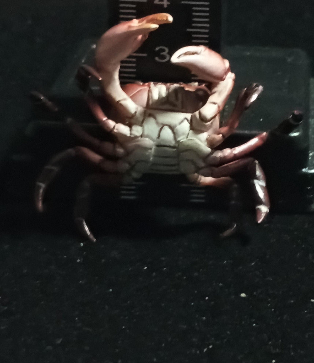 Kaiyodo Animatales Choco Q Special Edition Red Crab