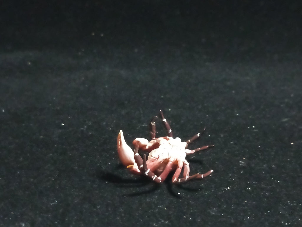 Kaiyodo Animatales Choco Q Special Edition Red Crab
