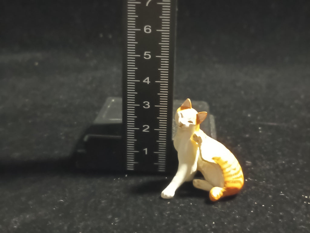 Kaiyodo Animatales Choco Q Amazing Animals Japanese Cat Calico Figure A