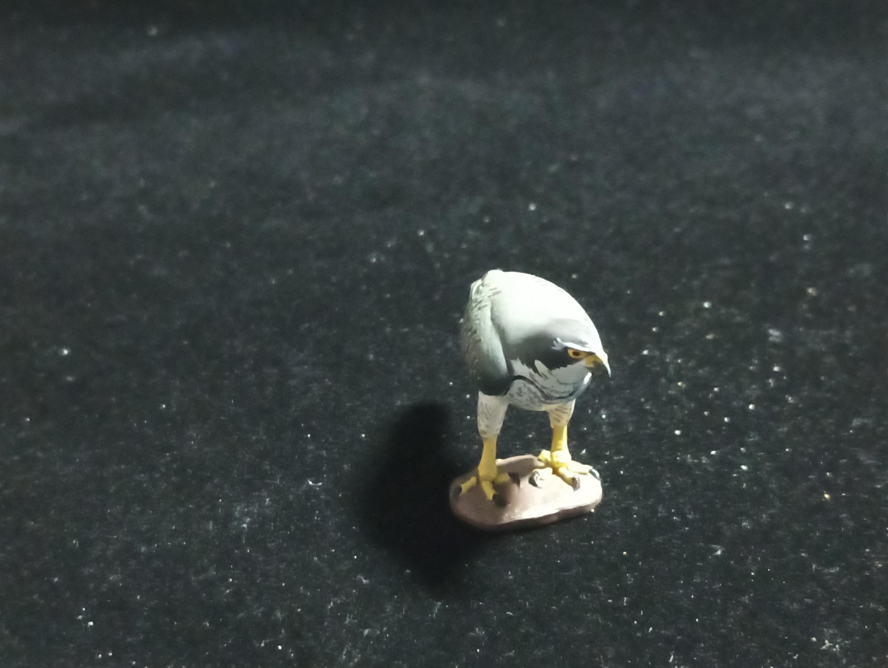 Kaiyodo Animatales Choco Q Special Edition Goshawk