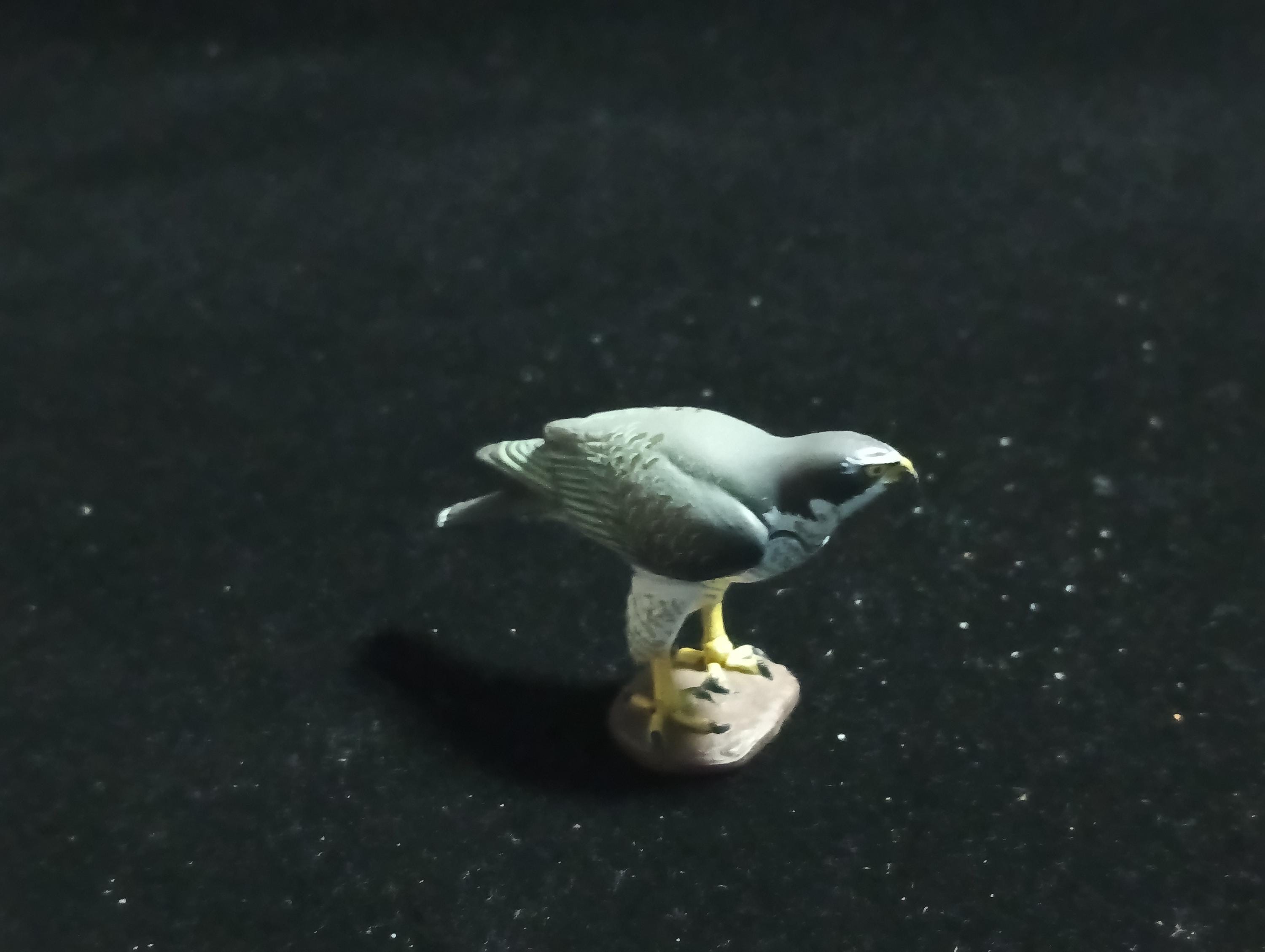 Kaiyodo Animatales Choco Q Special Edition Goshawk