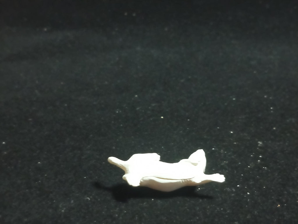 Kaiyodo Animatales Choco Q Special Edition Stoat
