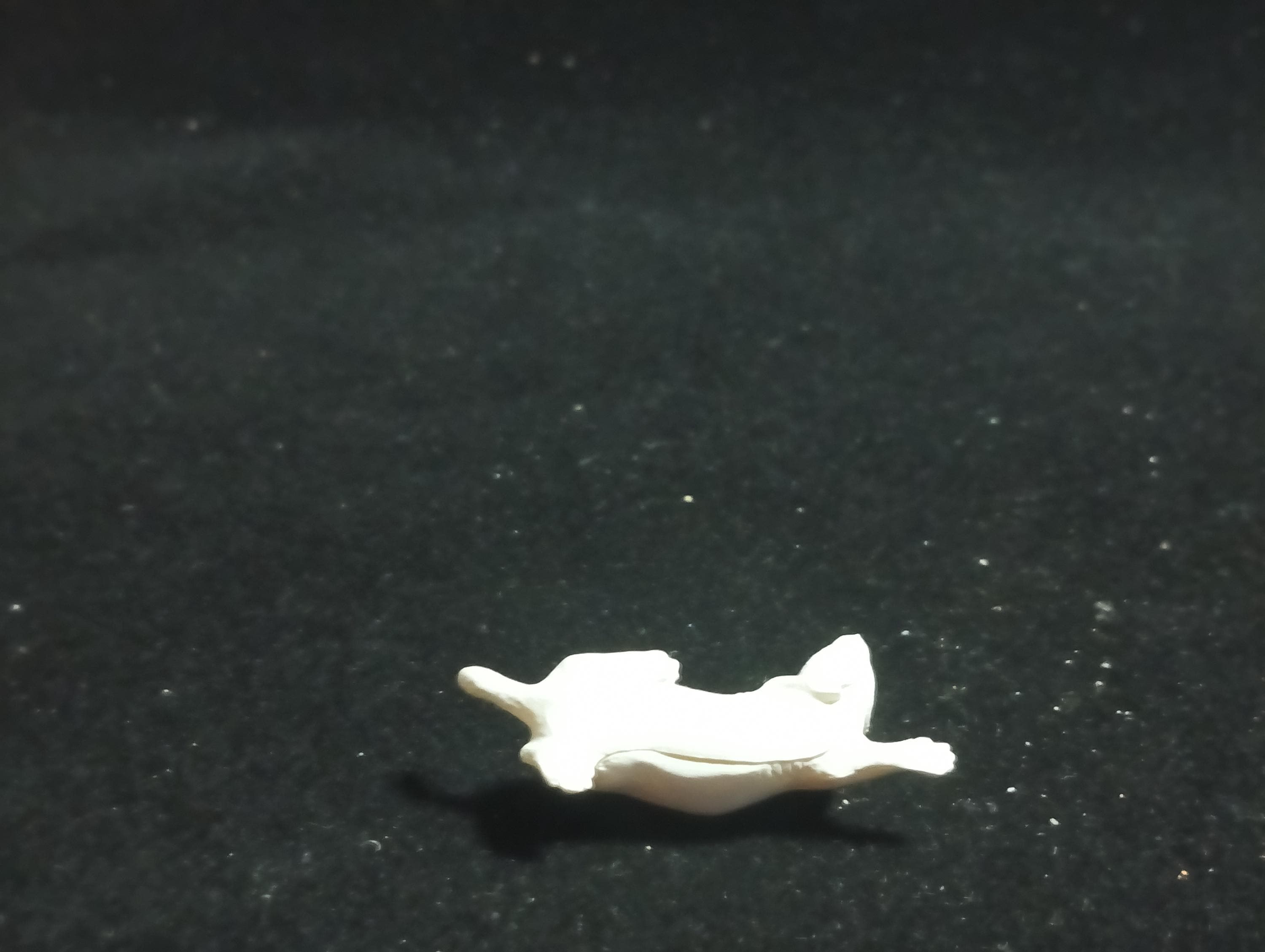 Kaiyodo Animatales Choco Q Special Edition Stoat