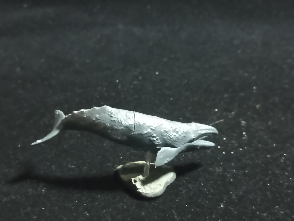 Kaiyodo Animatales Choco Q Series 11 Western Gray Whale