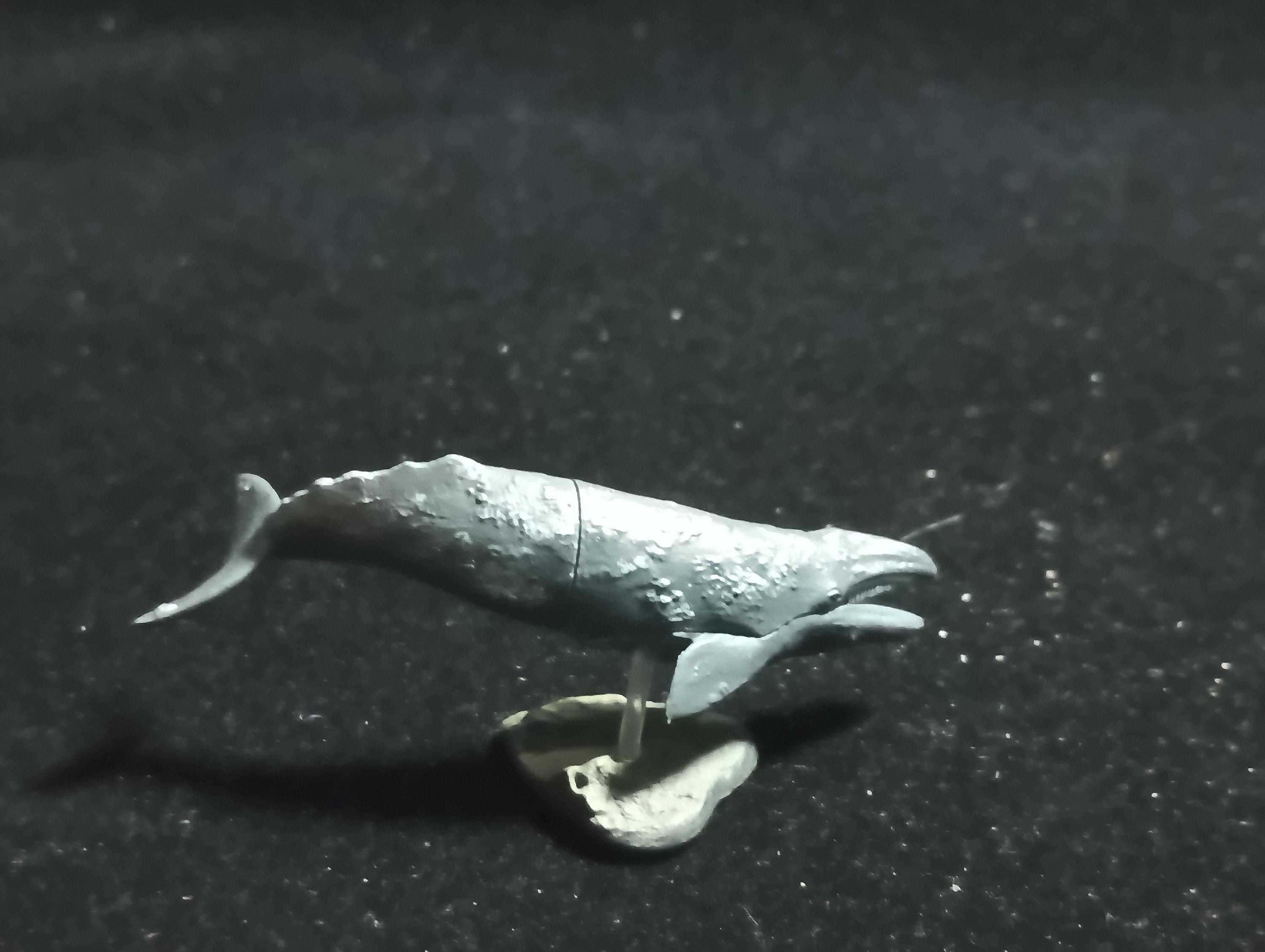 Kaiyodo Animatales Choco Q Series 11 Western Gray Whale