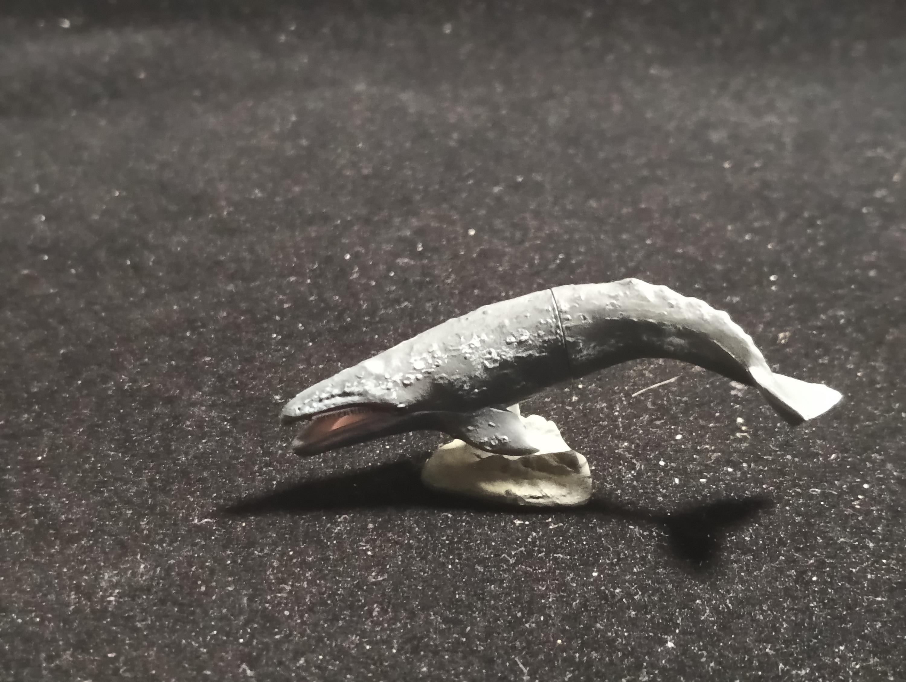 Kaiyodo Animatales Choco Q Series 11 Western Gray Whale