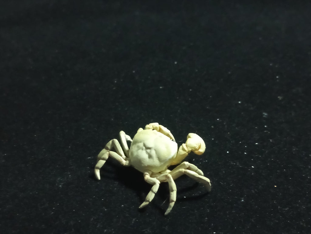 Kaiyodo Animatales Choco Q Series 11 SP Freshwater crab (White)