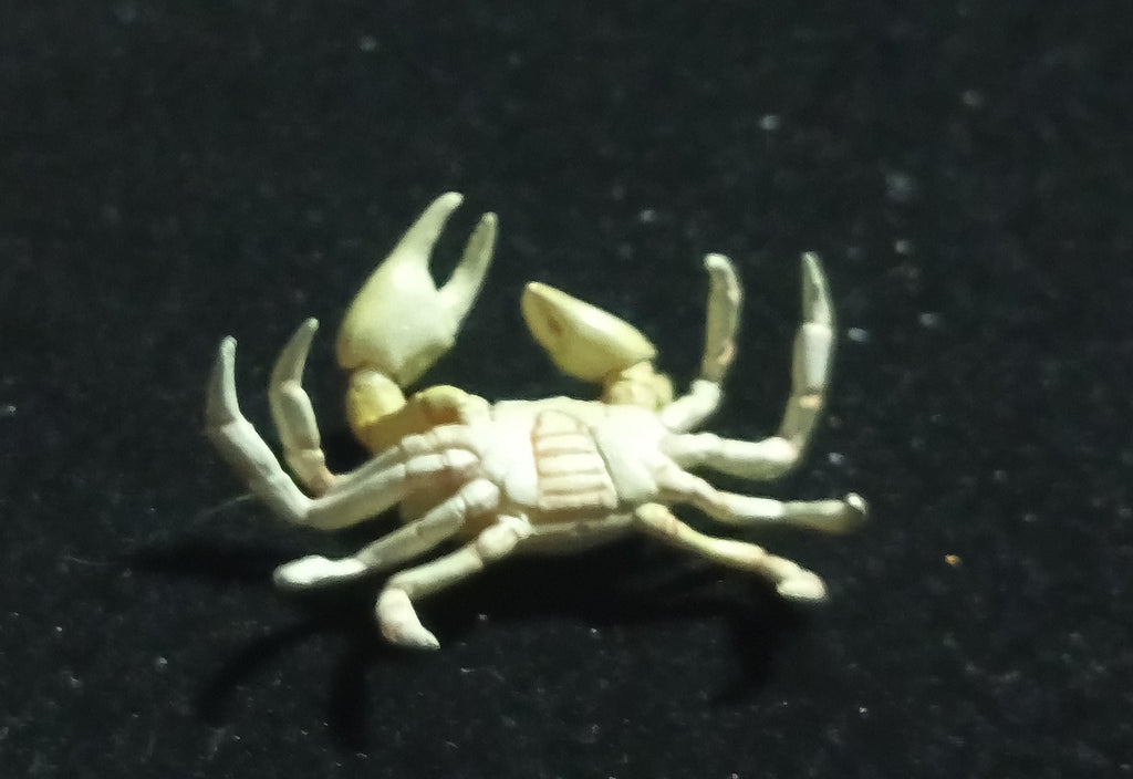 Kaiyodo Animatales Choco Q Series 11 SP Freshwater crab (White)