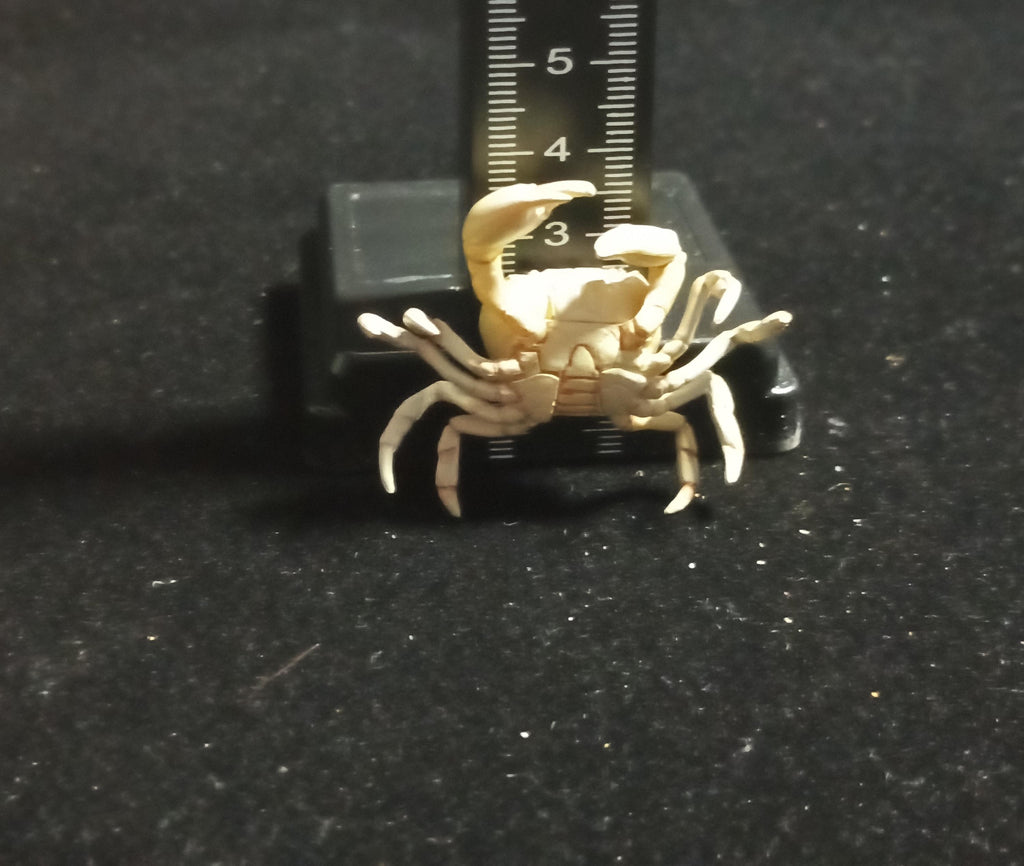 Kaiyodo Animatales Choco Q Series 11 SP Freshwater crab (White)