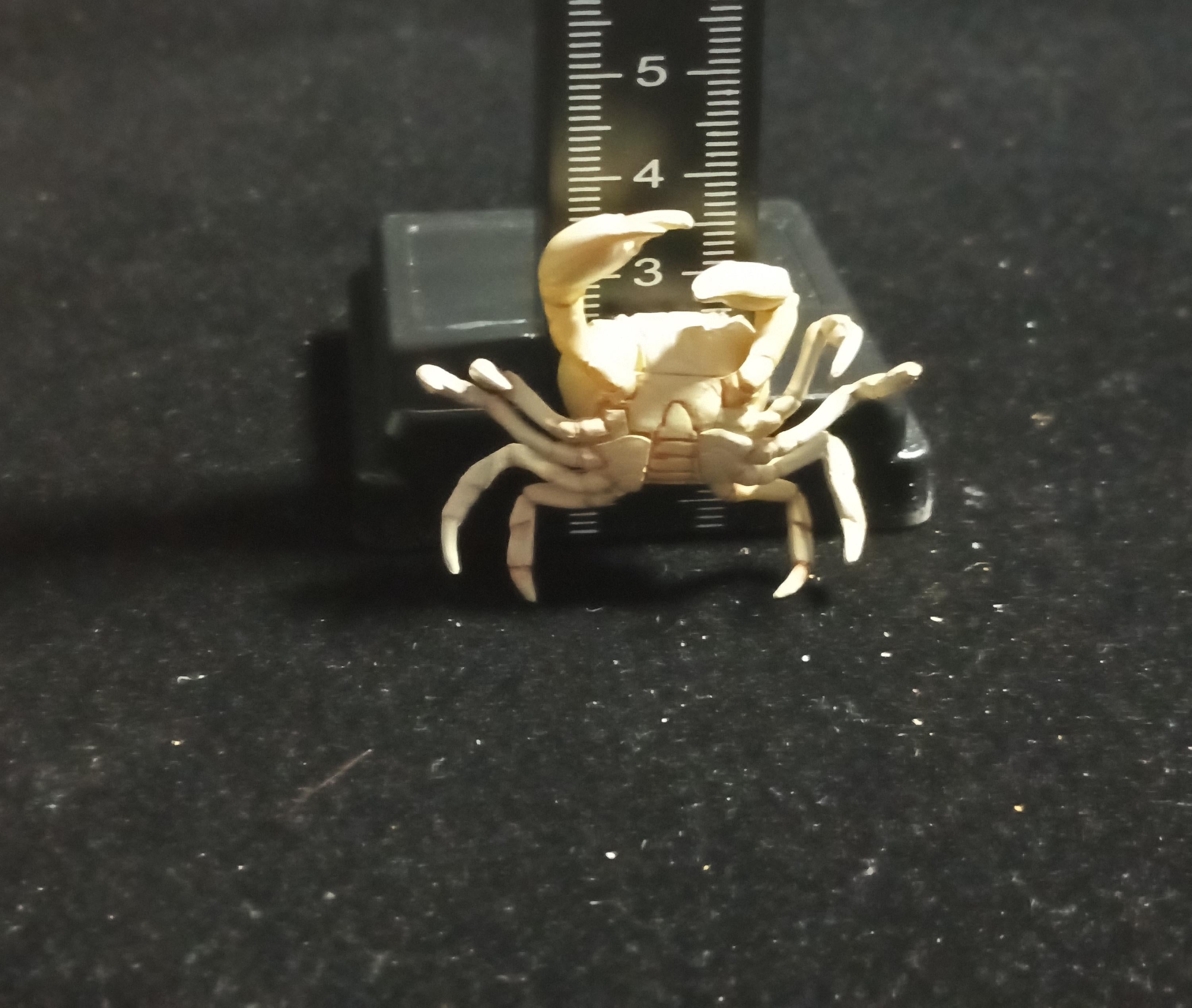 Kaiyodo Animatales Choco Q Series 11 SP Freshwater crab (White)