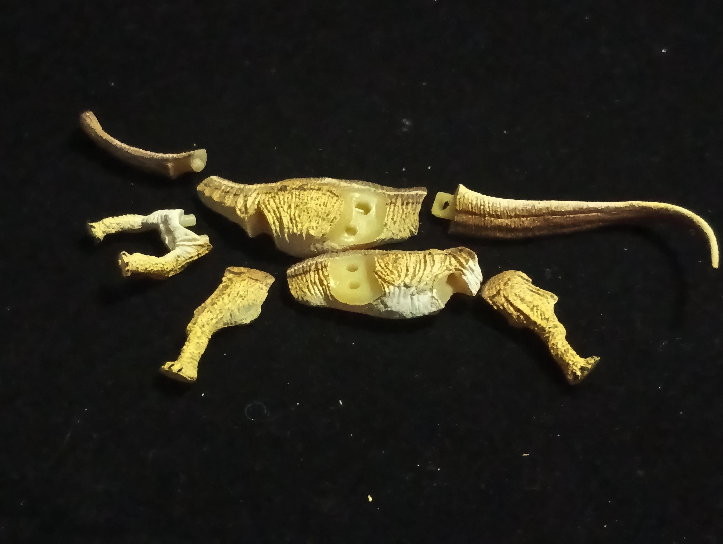 Wonder Festival 2002 Summer Limited Edition Seismosaurus Kaiyodo Chocolasaurus Dinosaur & Ancient Creatures Collection Figure B
