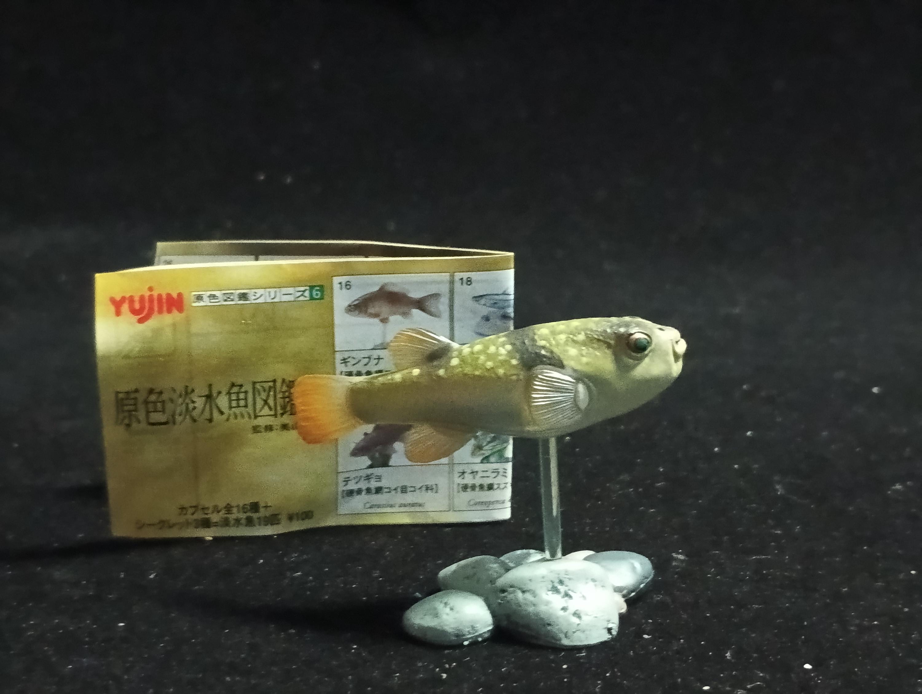 Freshwater Fish Encyclopedia 2: Kusafugu Figure, River Fish, Yujin