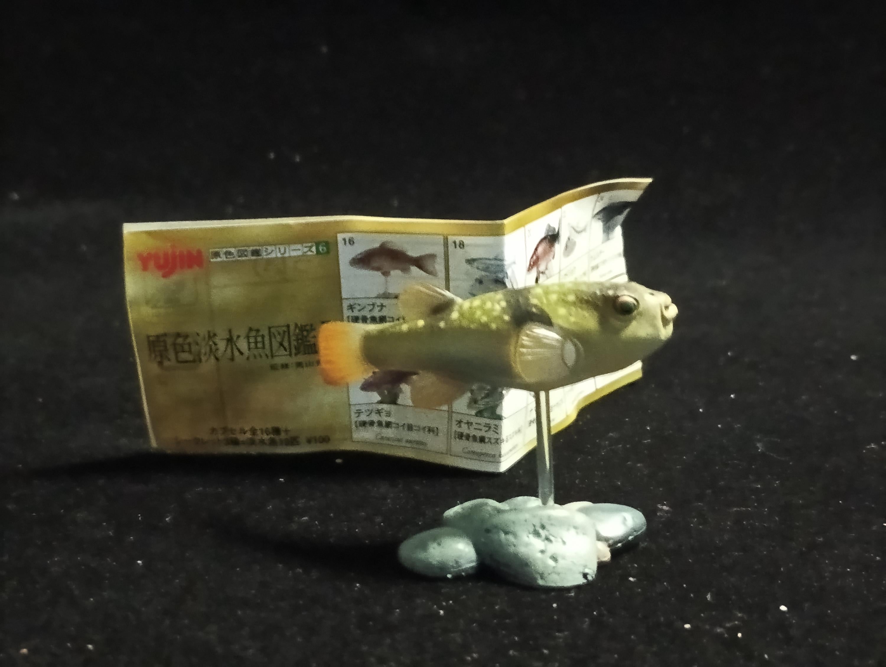 Freshwater Fish Encyclopedia 2: Kusafugu Figure, River Fish, Yujin