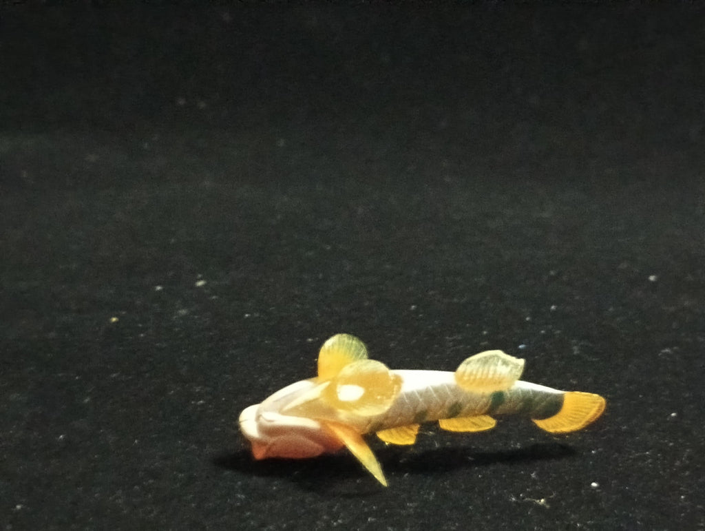 Freshwater Fish Encyclopedia 2: Toyoshinobori, River Fish, Yujin SP