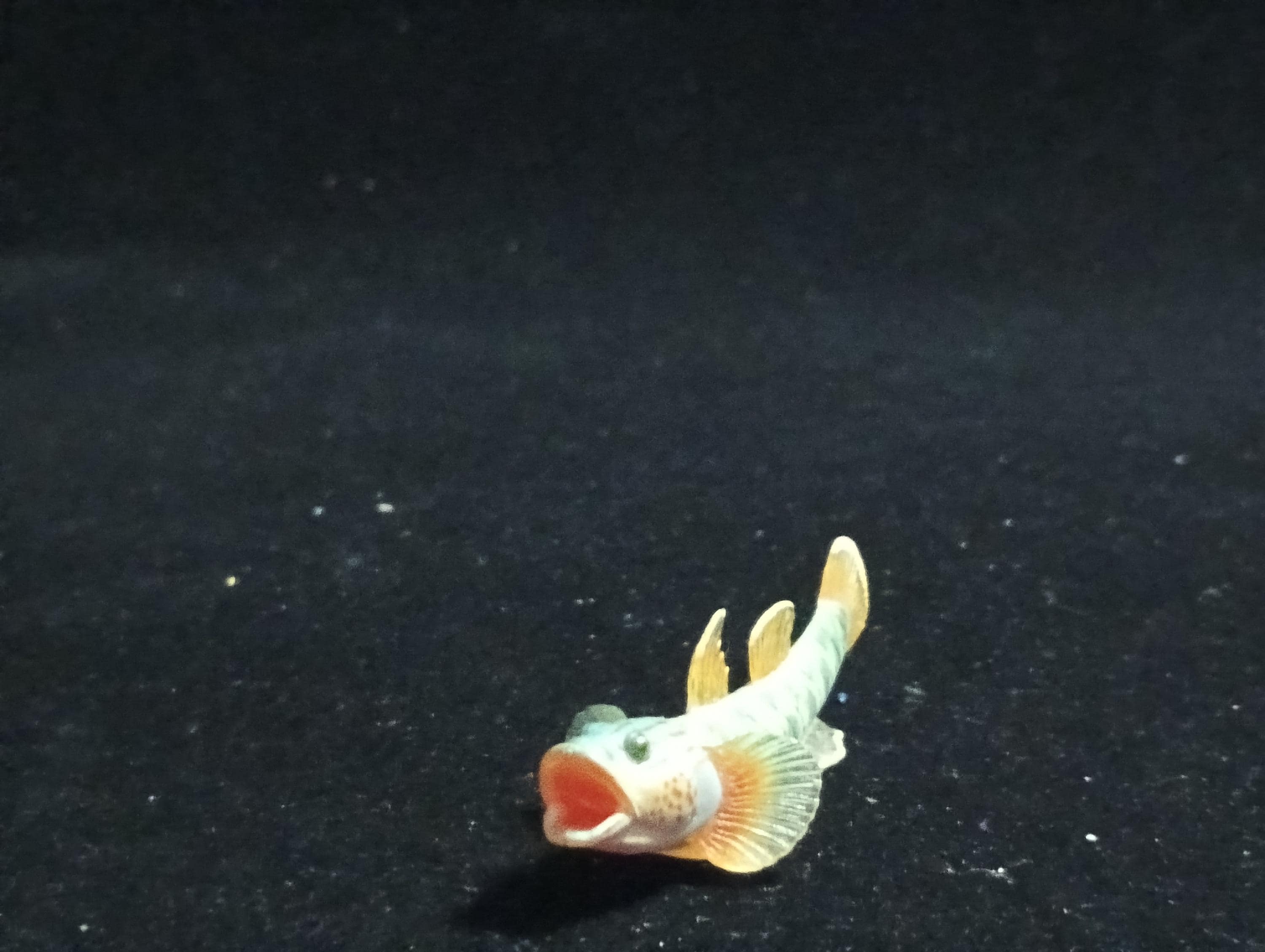 Freshwater Fish Encyclopedia 2: Toyoshinobori, River Fish, Yujin SP