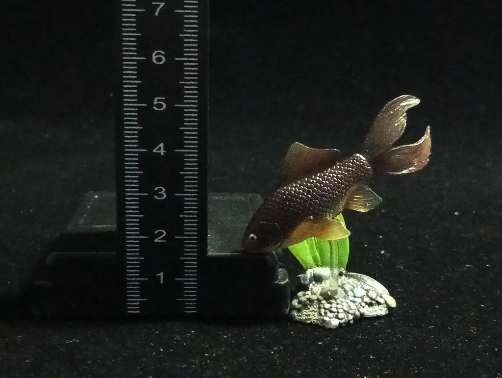 Freshwater Fish Encyclopedia 2: Carassius auratus, River Fish, Yujin