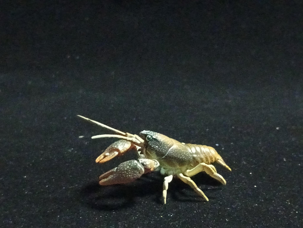 Yujin Takara Kaiyodo Retired Japan Exclusive Japanese crayfish Secret item