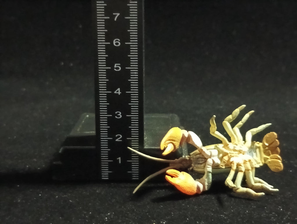 Yujin Takara Kaiyodo Retired Japan Exclusive Japanese crayfish Secret item