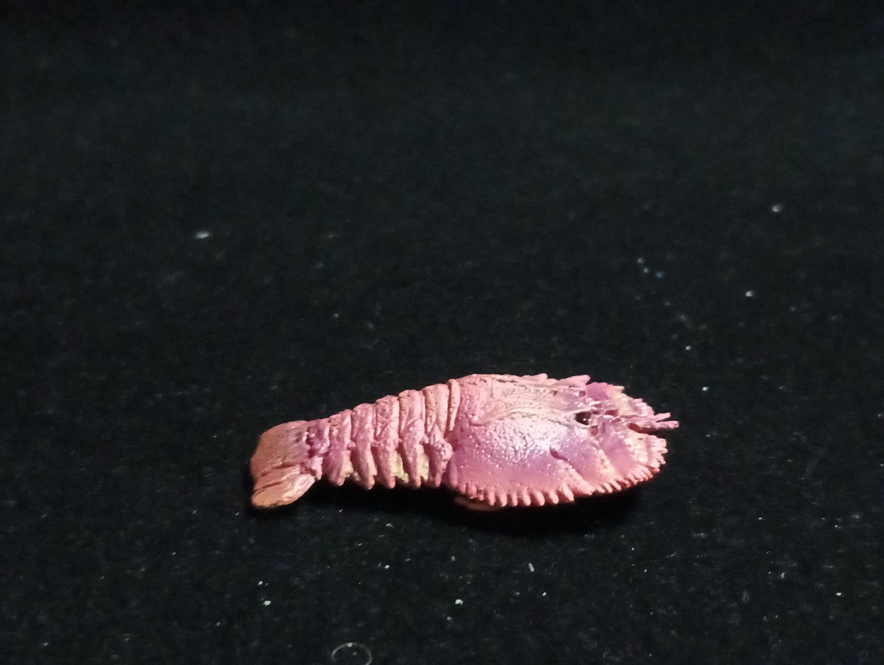 Yujin Takara Kaiyodo Retired Japan Exclusive Ingredients Uchiwa Shrimp