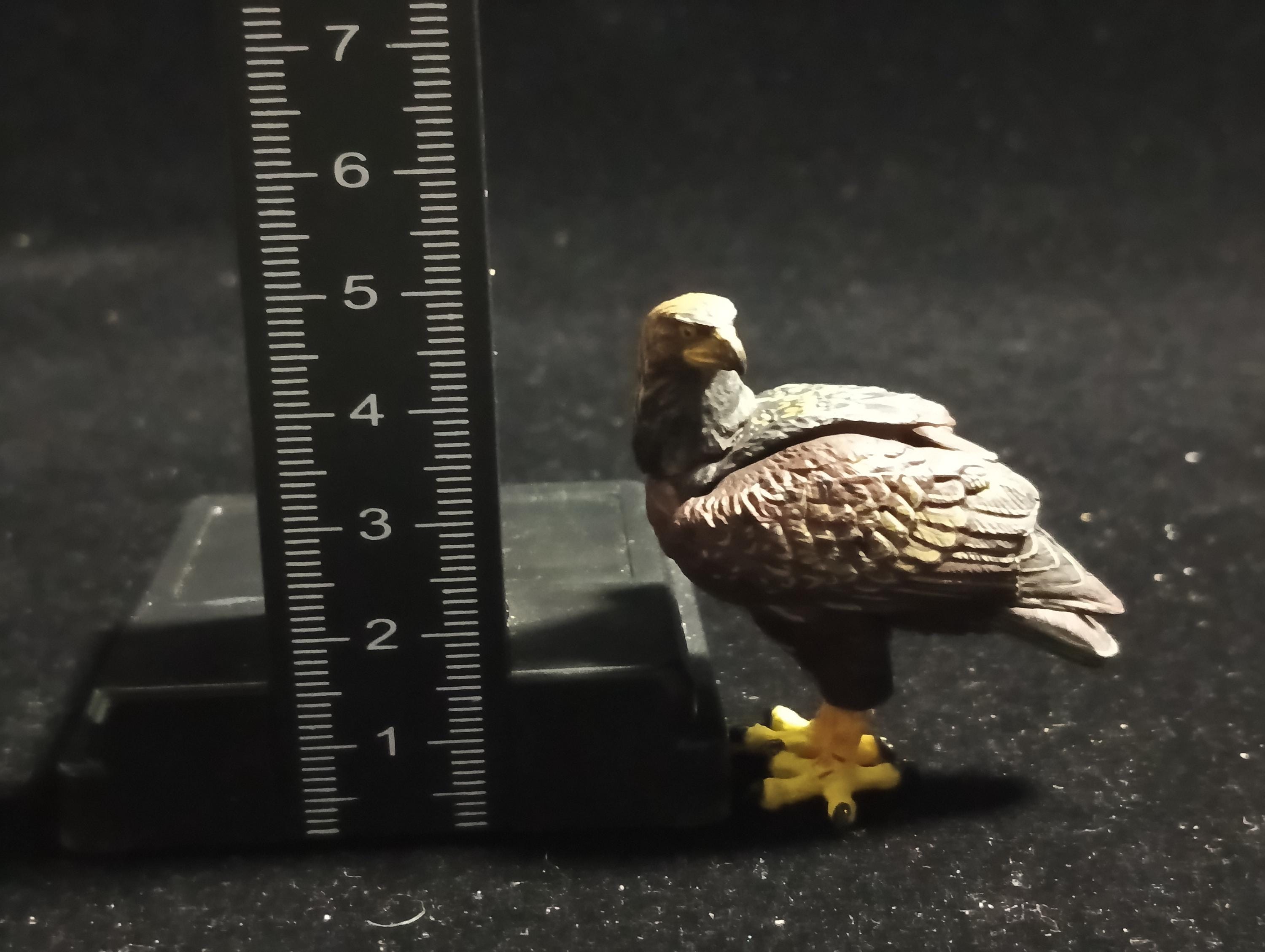 Japanese Animal Collection 8: Japanese Alps - Golden Eagle - Kaiyodo Capsule Q Museum #57